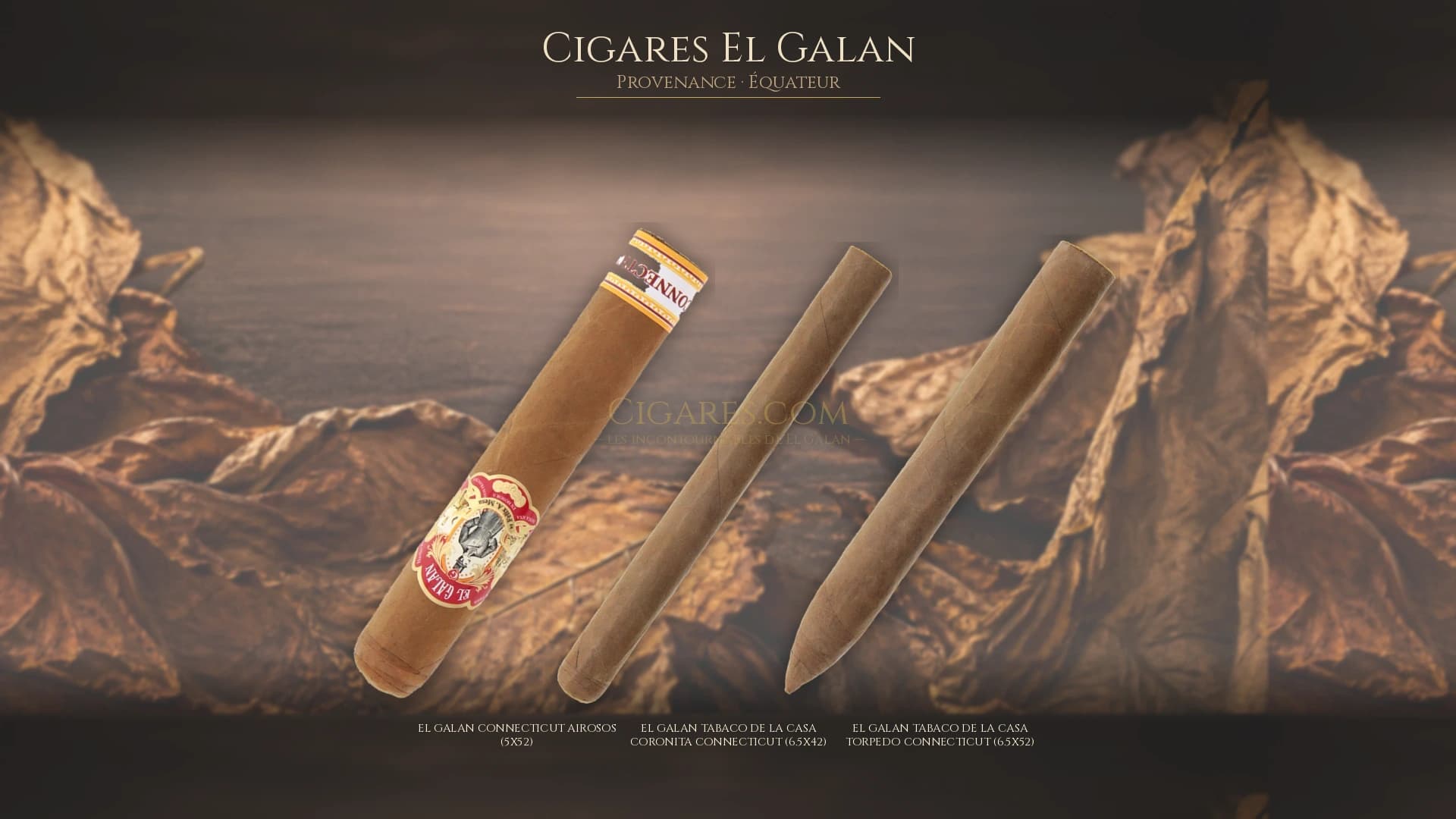 Top cigares El Galan Equateur — les plus populaires