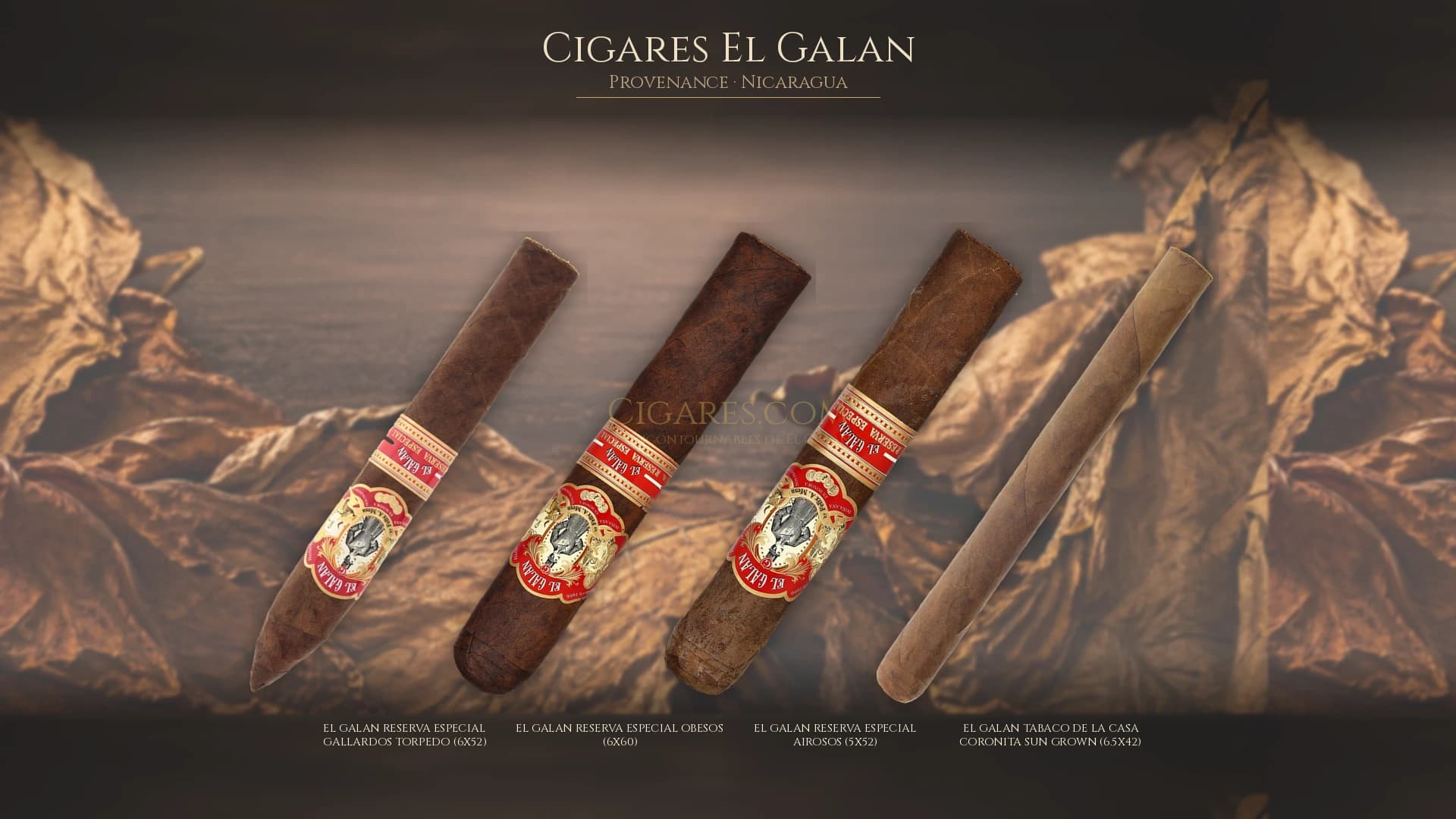 Top cigares El Galan Nicaragua — les plus populaires
