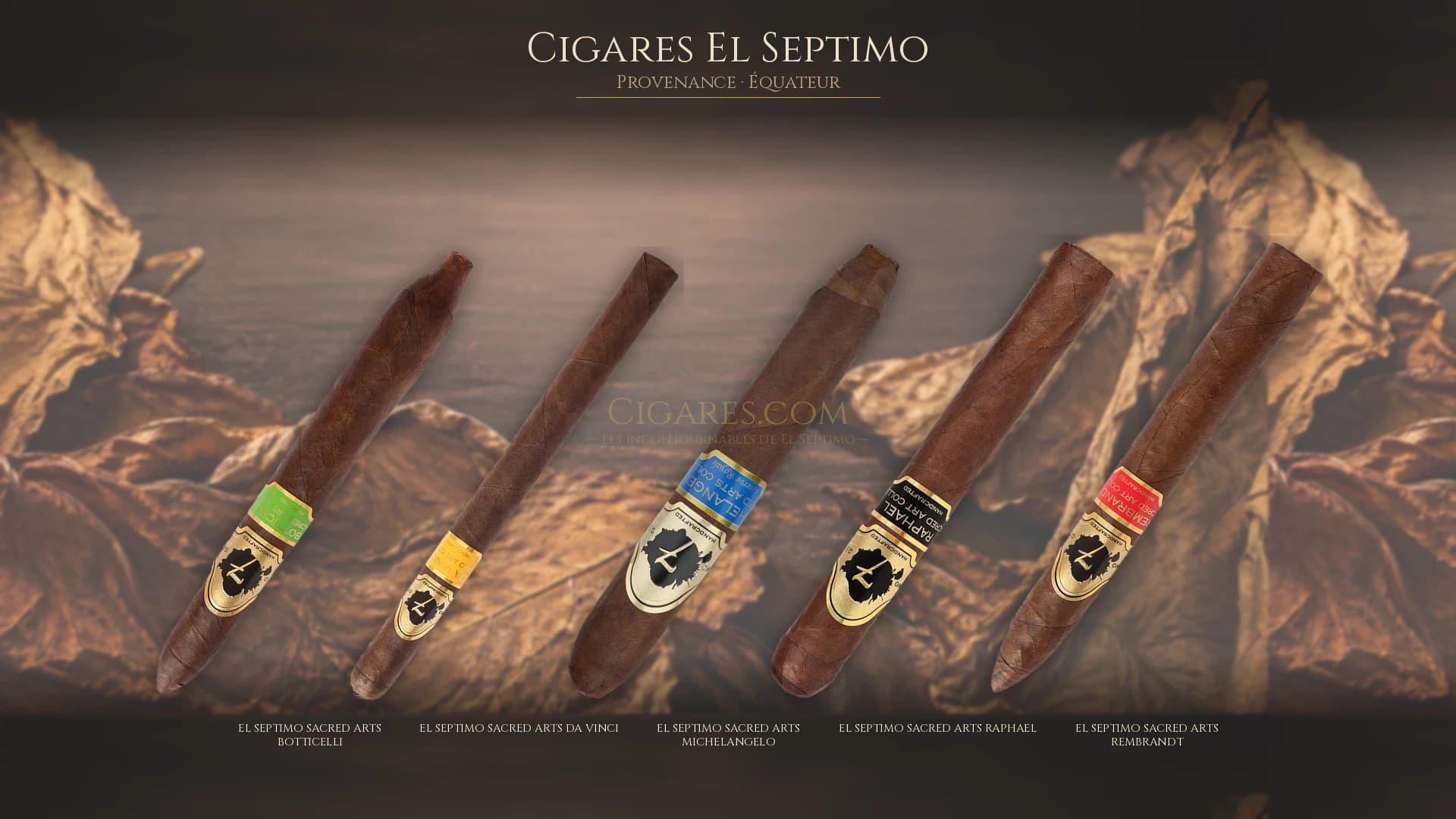 Top cigares El Septimo Equateur — les plus populaires