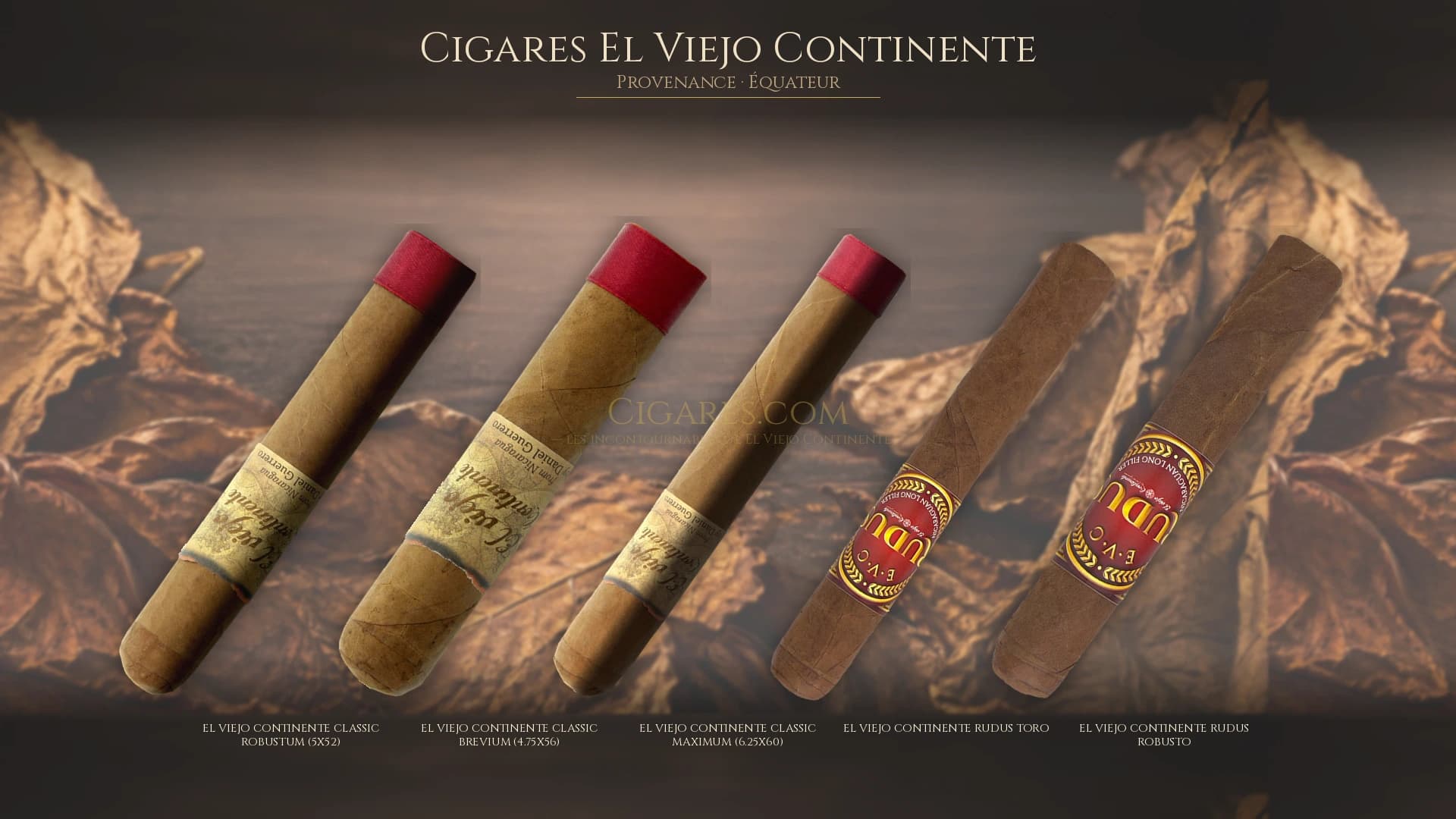 Top cigares El Viejo Continente Equateur — les plus populaires