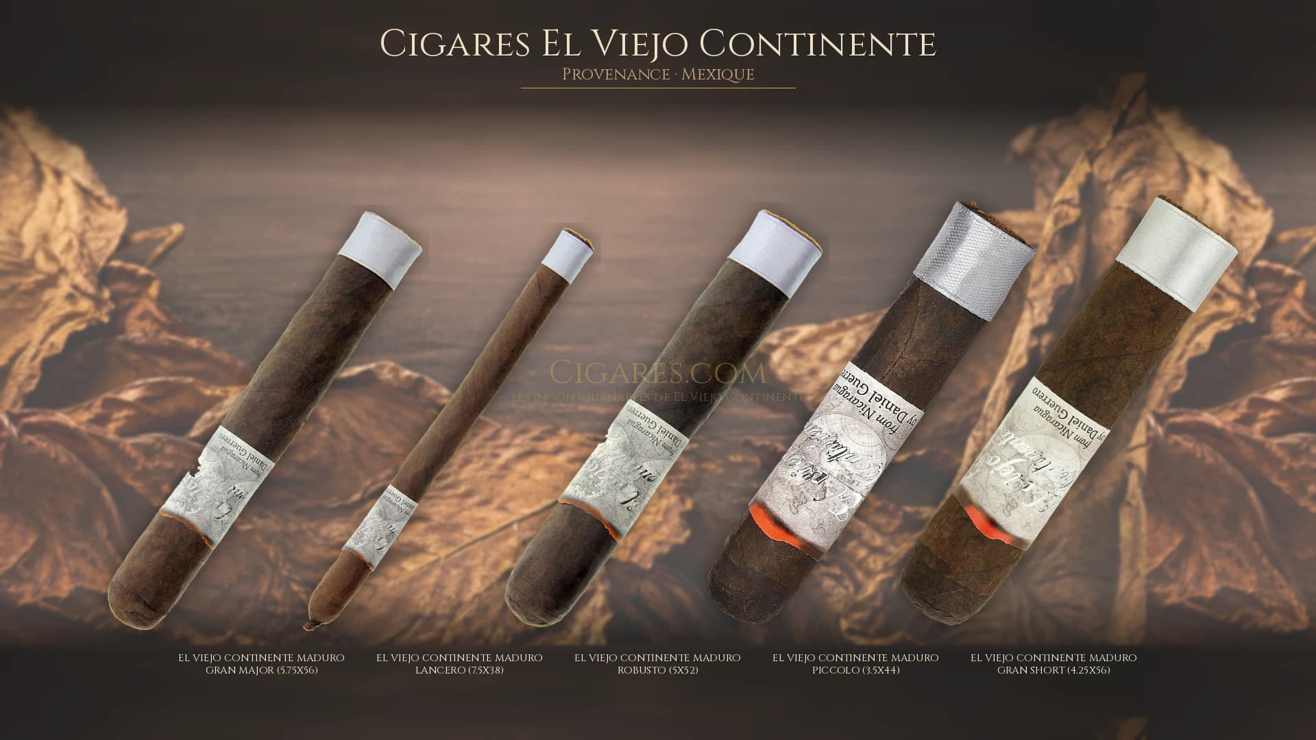 Top cigares El Viejo Continente Mexique — les plus populaires