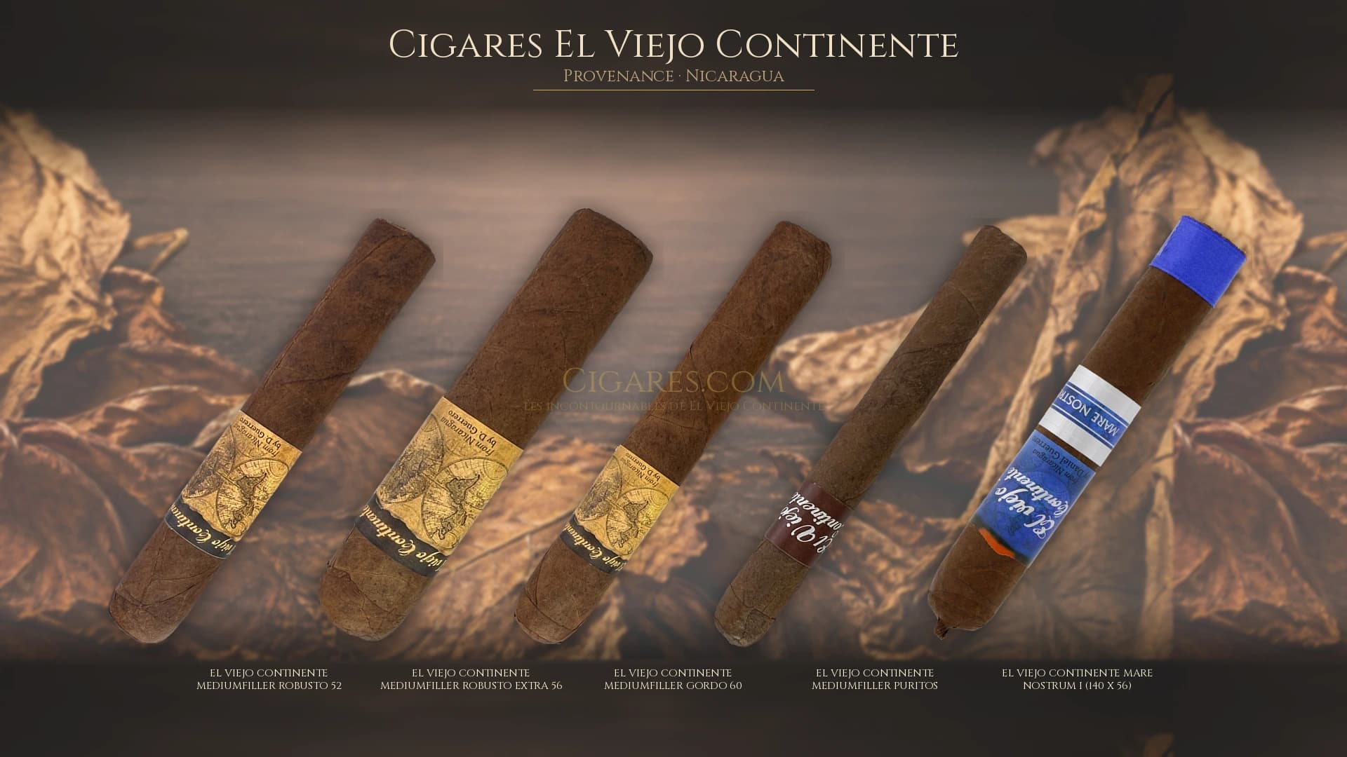 Top cigares El Viejo Continente Nicaragua — les plus populaires