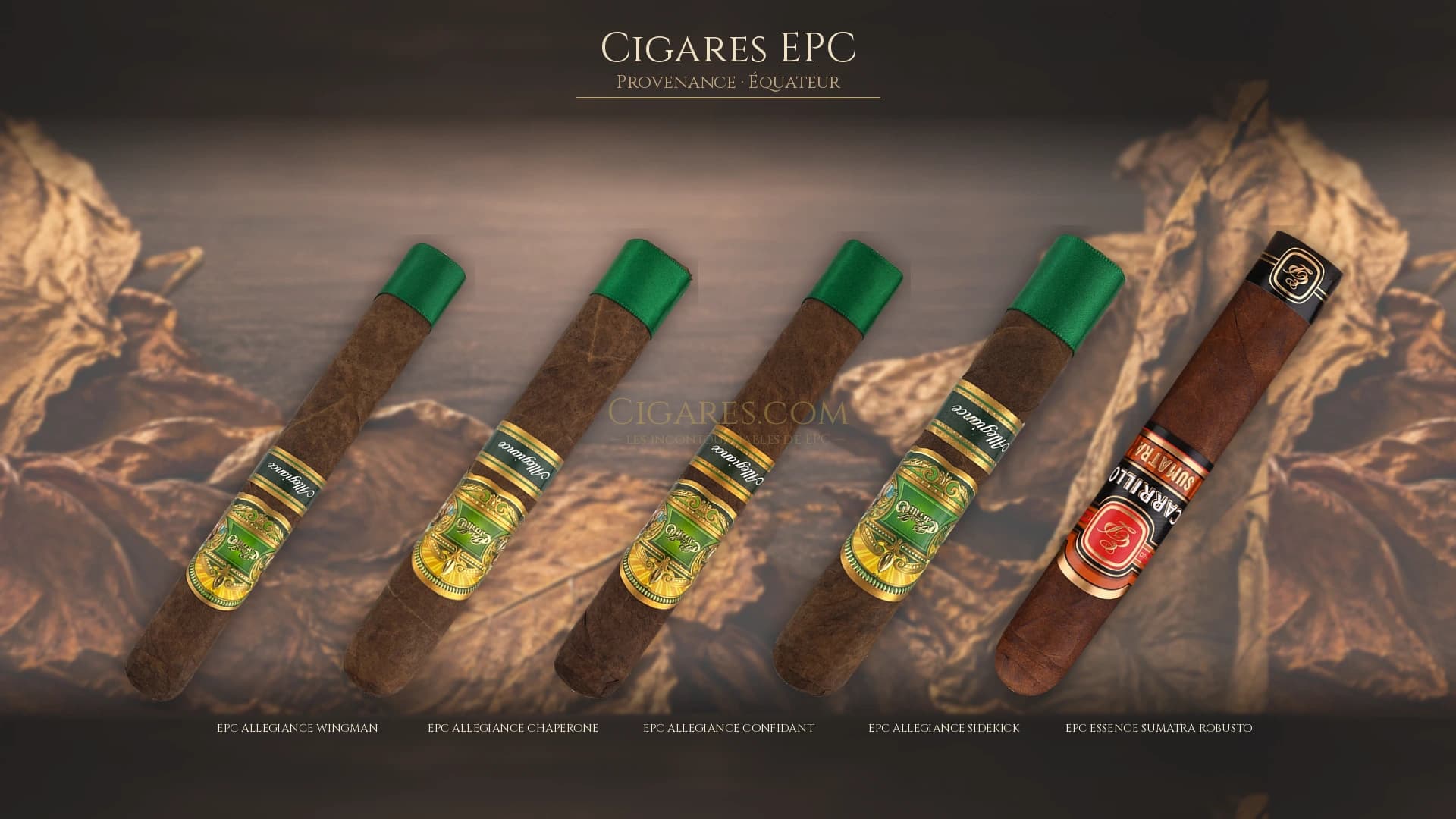 Top cigares EPC Equateur — les plus populaires