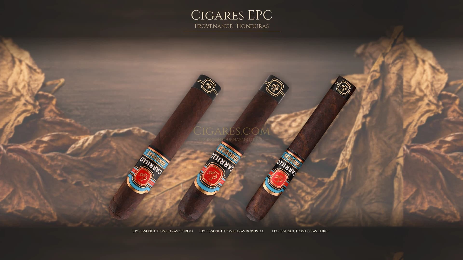 Top cigares EPC Honduras — les plus populaires