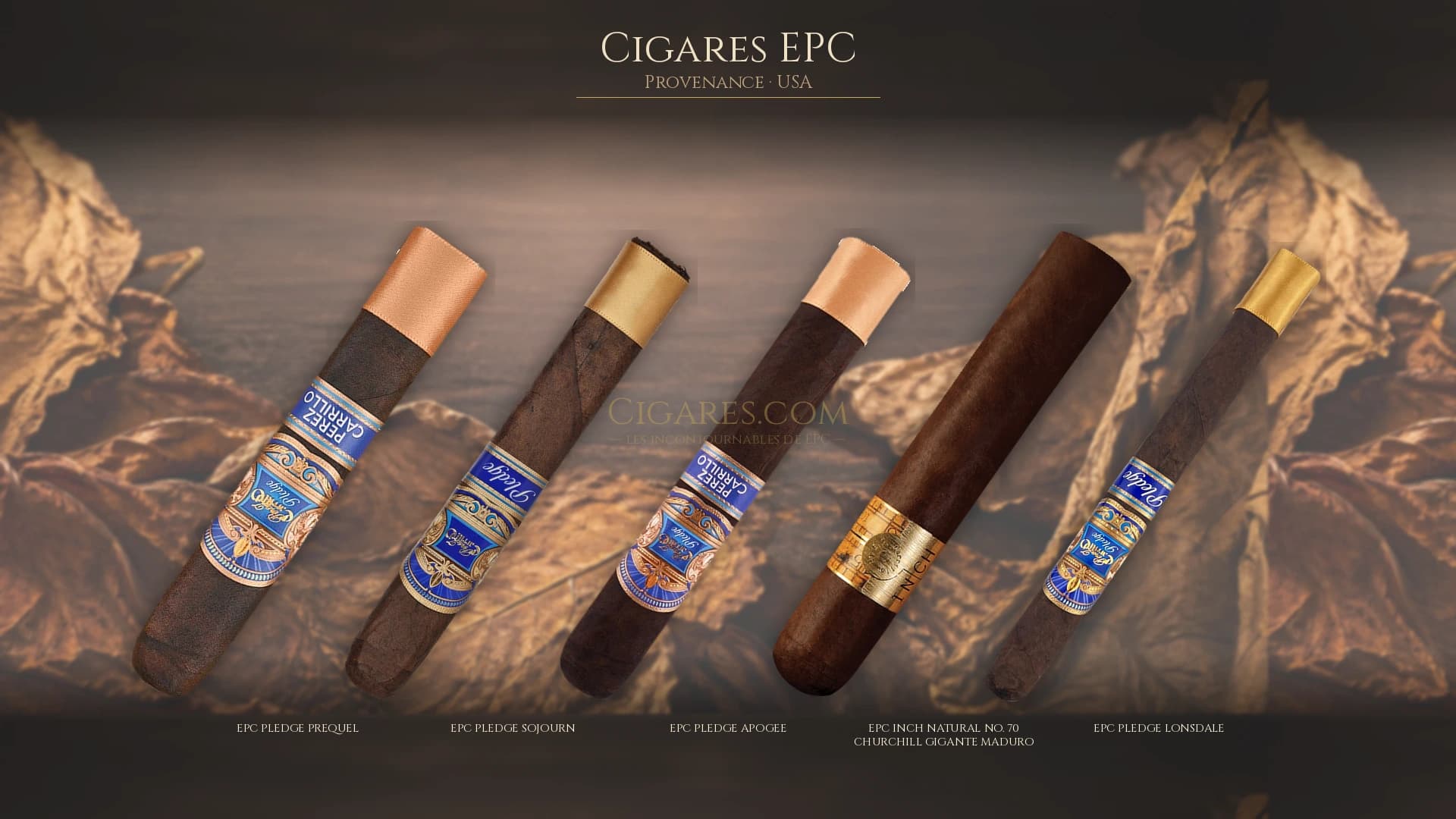 Top cigares EPC Usa — les plus populaires
