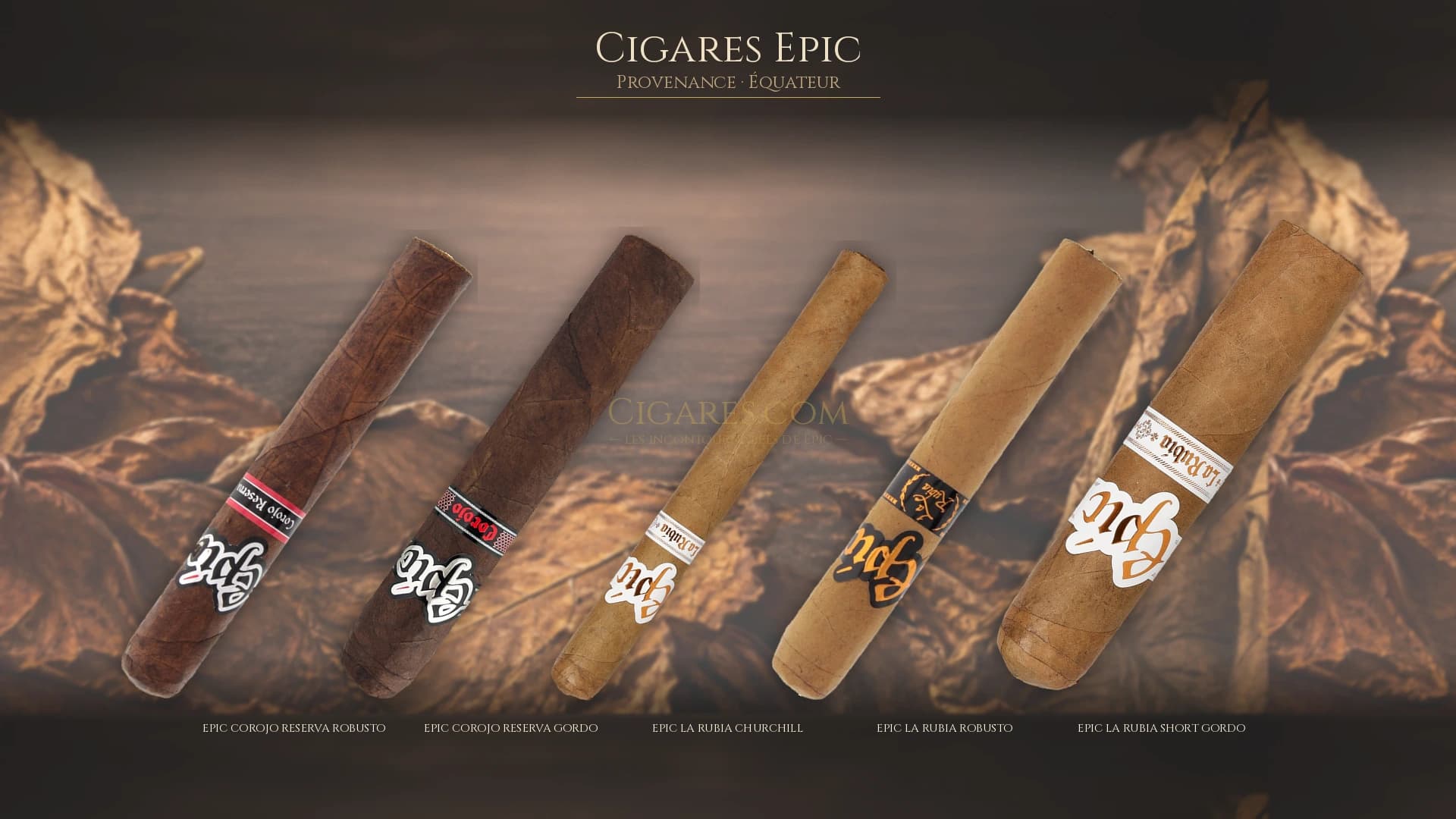 Top cigares Epic Equateur — les plus populaires