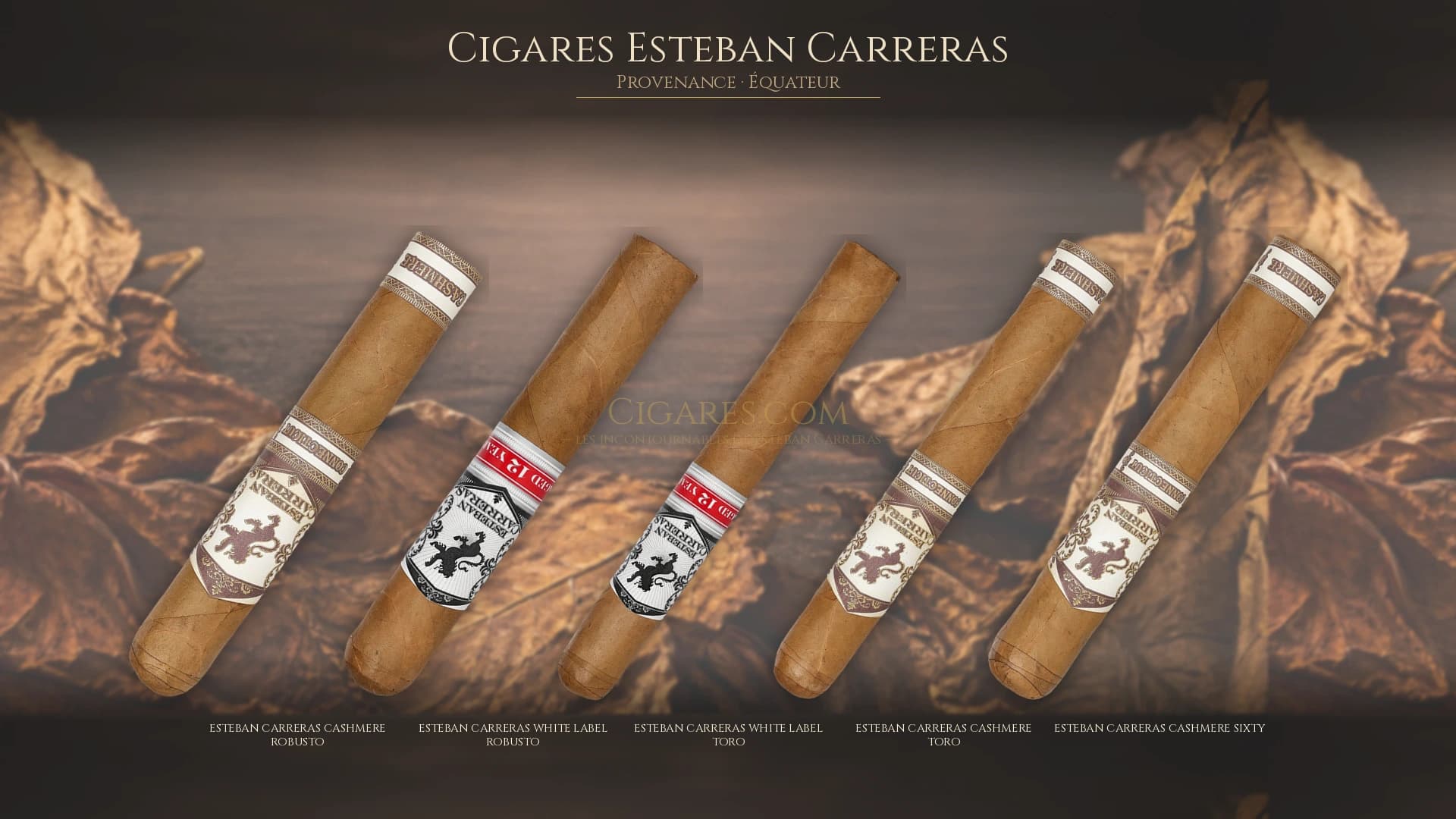 Top cigares Esteban Carreras Equateur — les plus populaires