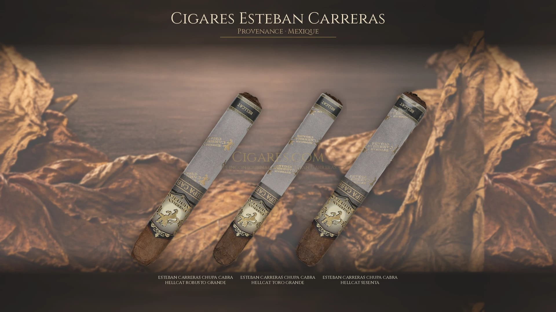 Top cigares Esteban Carreras Mexique — les plus populaires