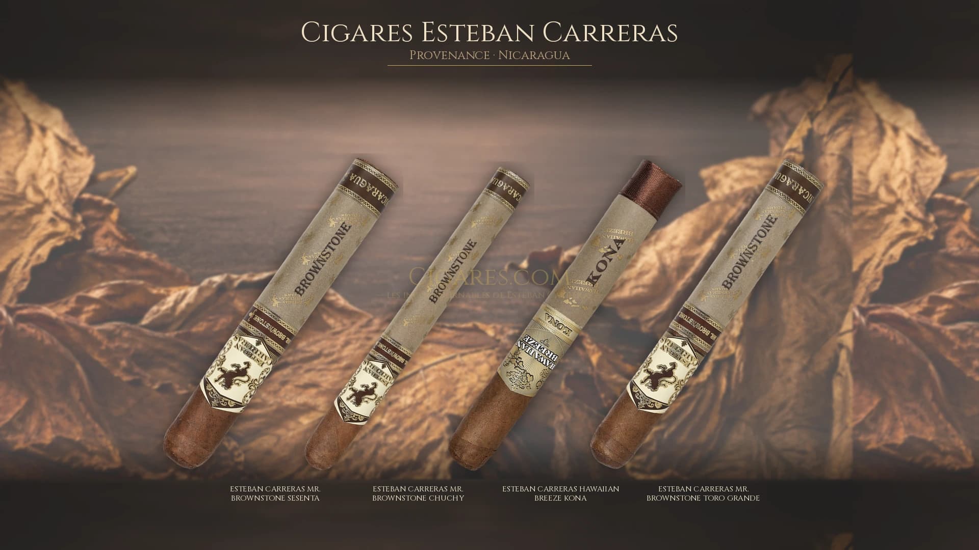 Top cigares Esteban Carreras Nicaragua — les plus populaires