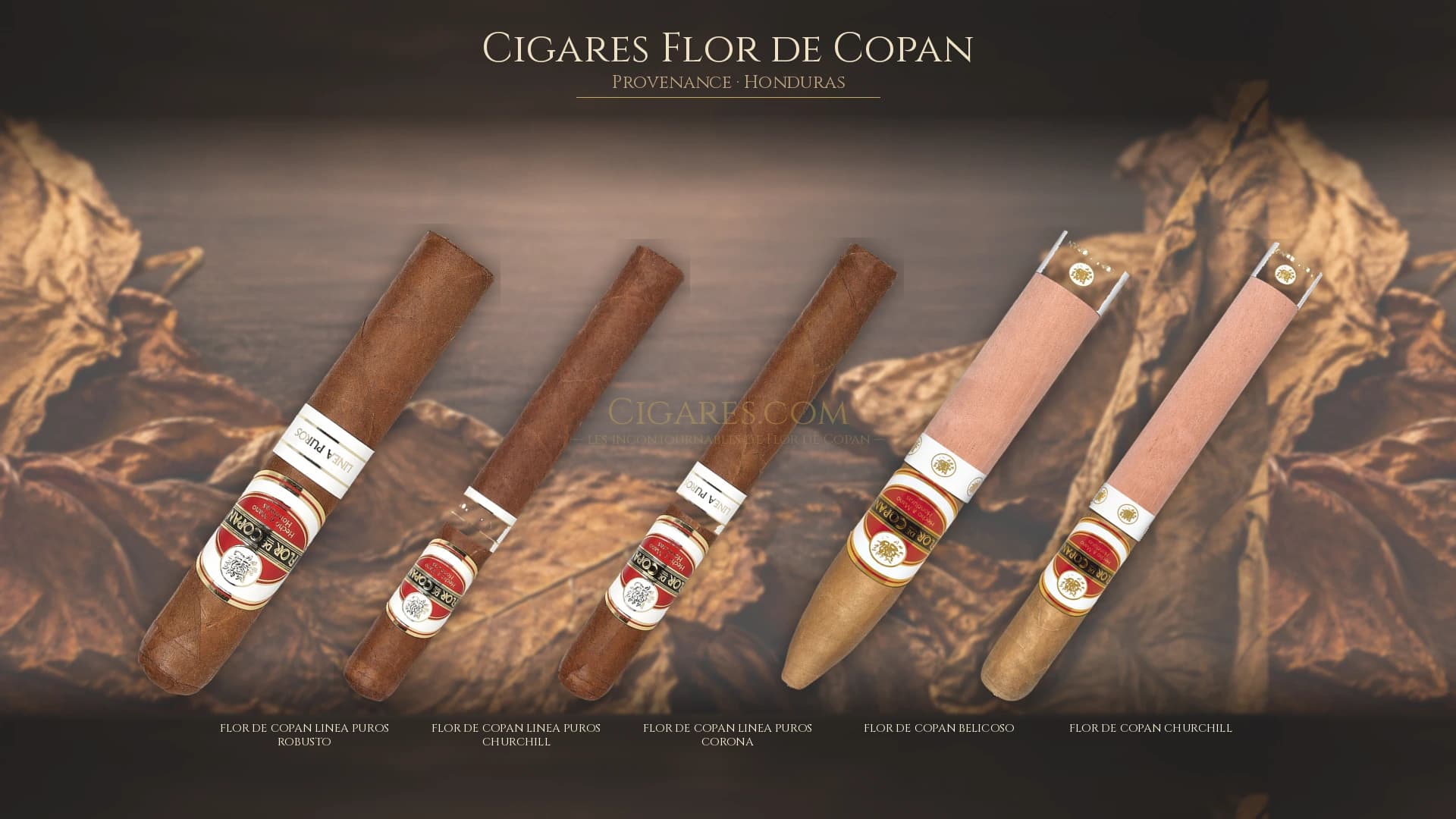 Top cigares Flor de Copan Honduras — les plus populaires