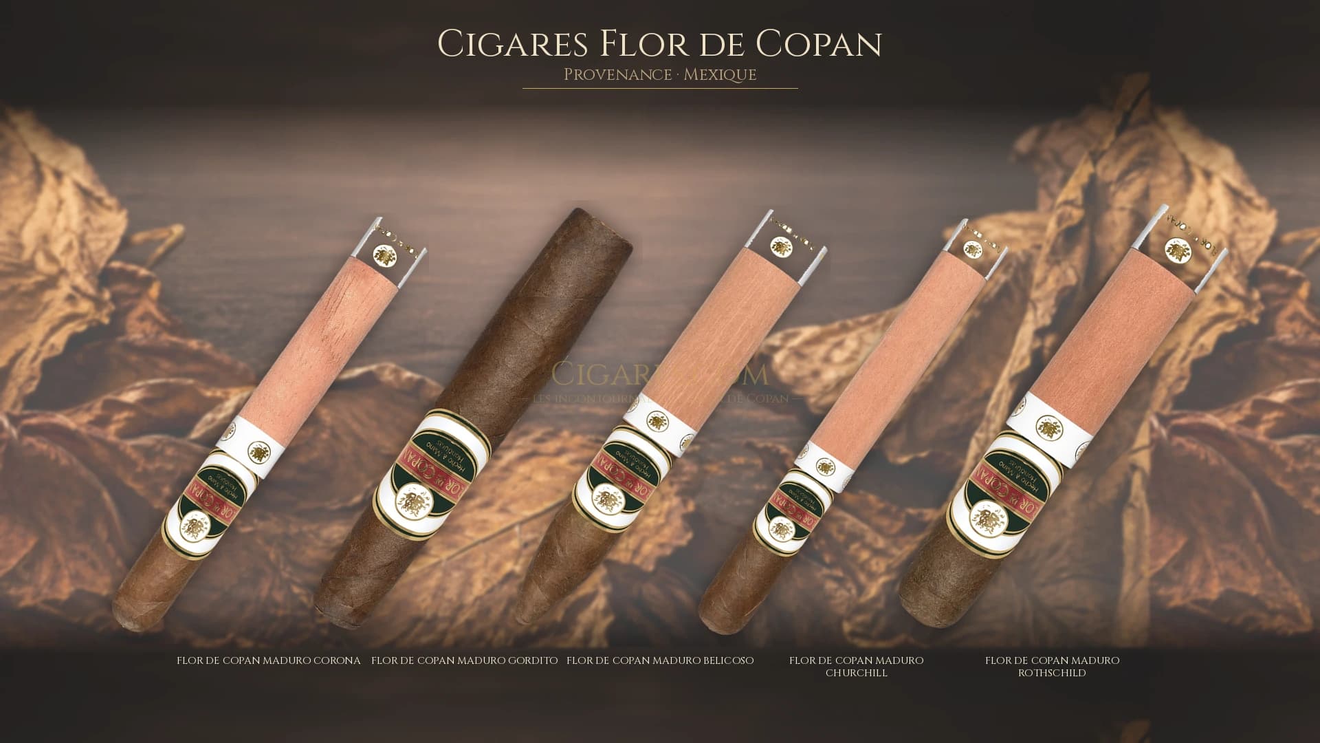 Top cigares Flor de Copan Mexique — les plus populaires