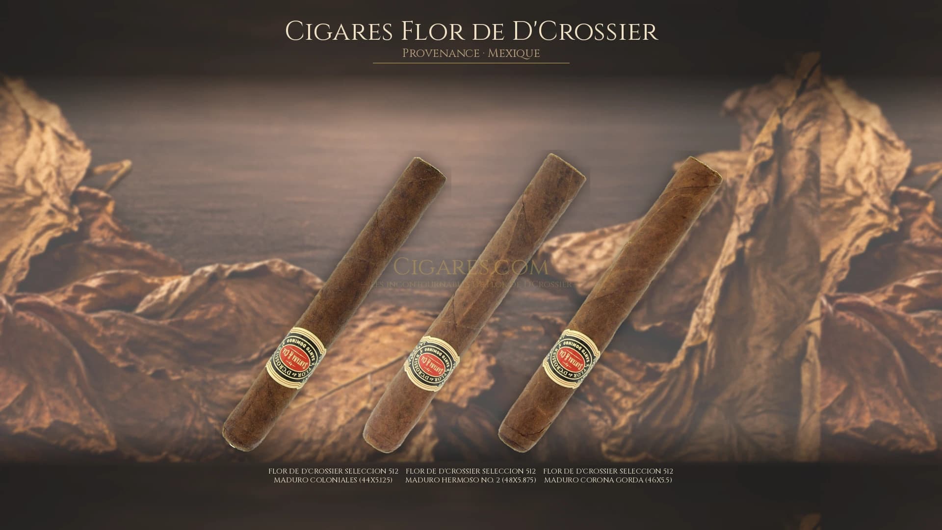 Top cigares Flor de D'Crossier Mexique — les plus populaires
