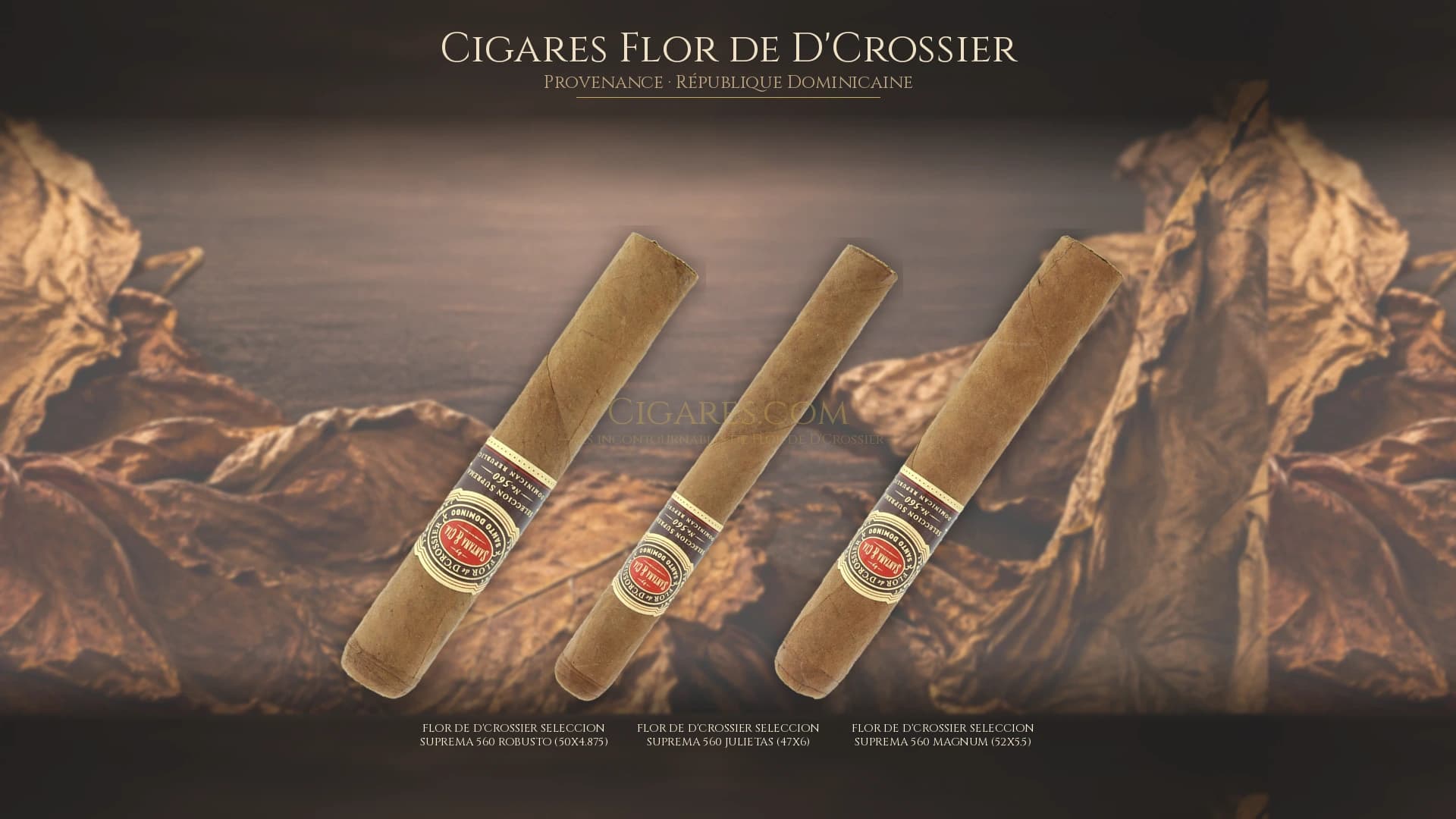 Top cigares Flor de D'Crossier Republique Dominicaine — les plus populaires