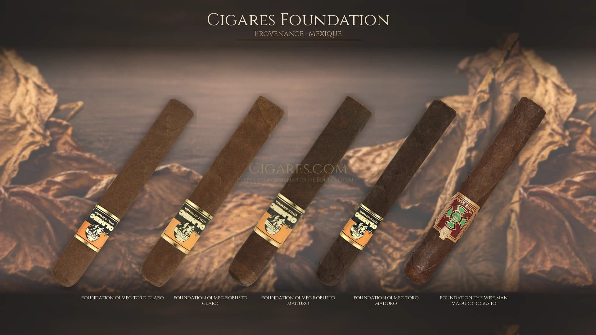 Top cigares Foundation Mexique — les plus populaires