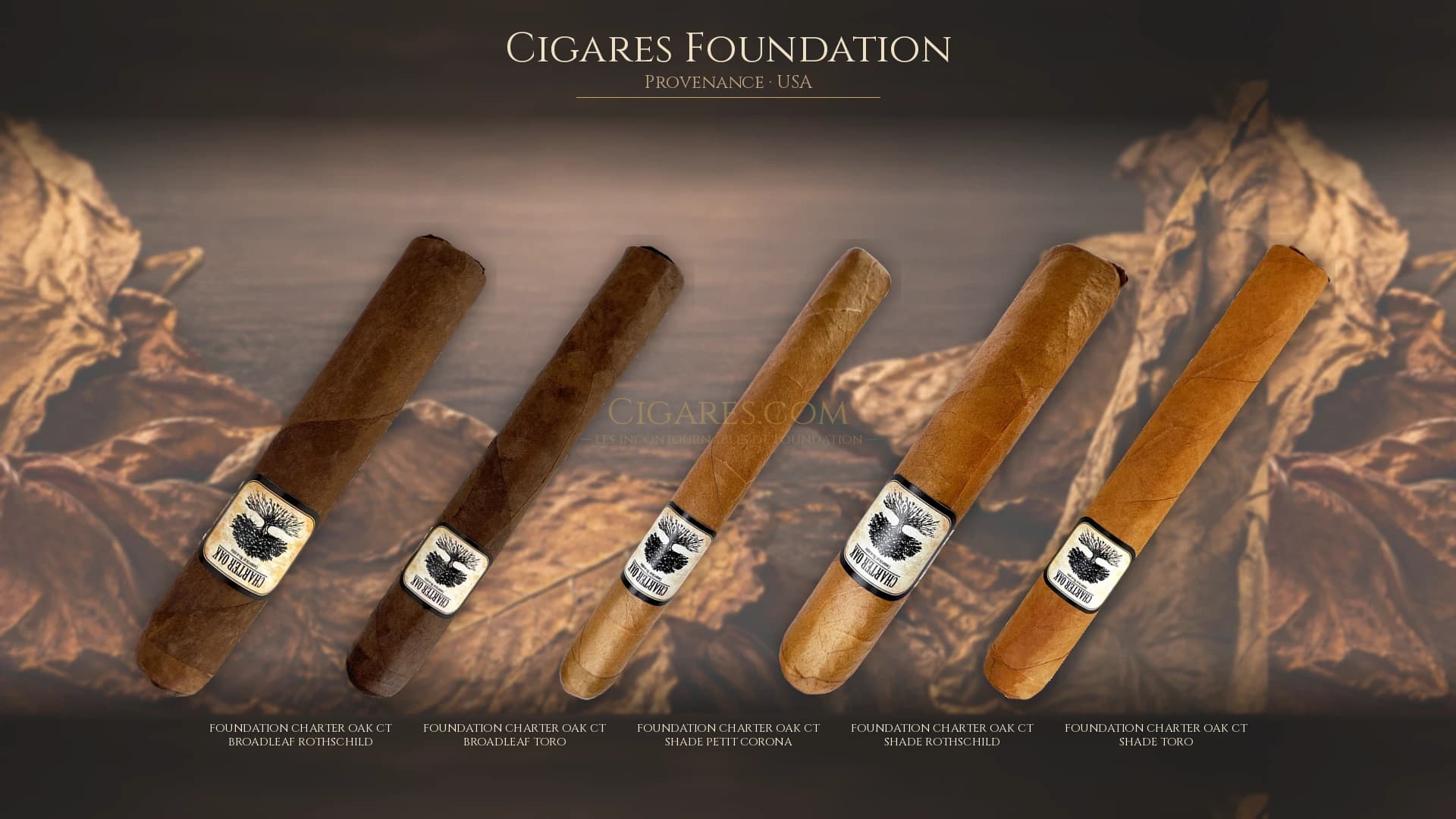 Top cigares Foundation Usa — les plus populaires