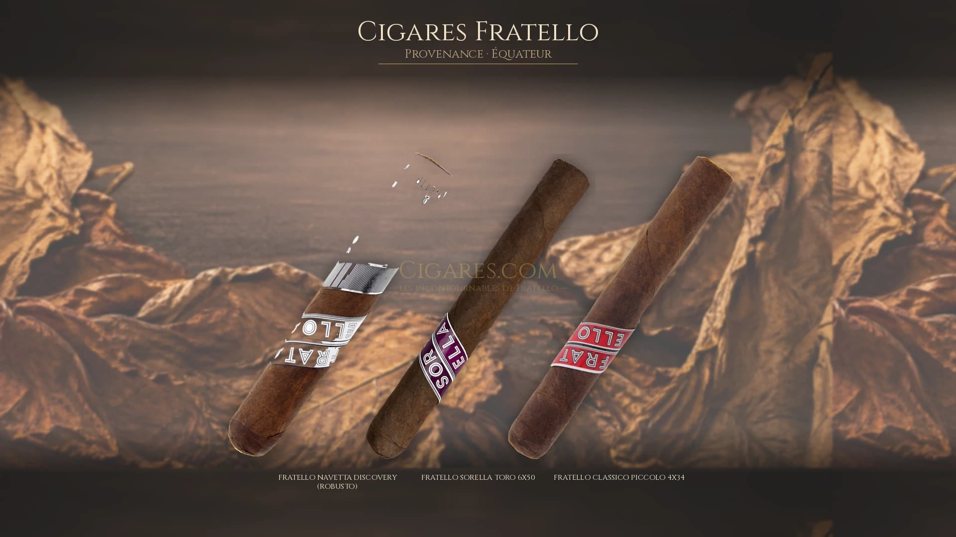 Top cigares Fratello Equateur — les plus populaires