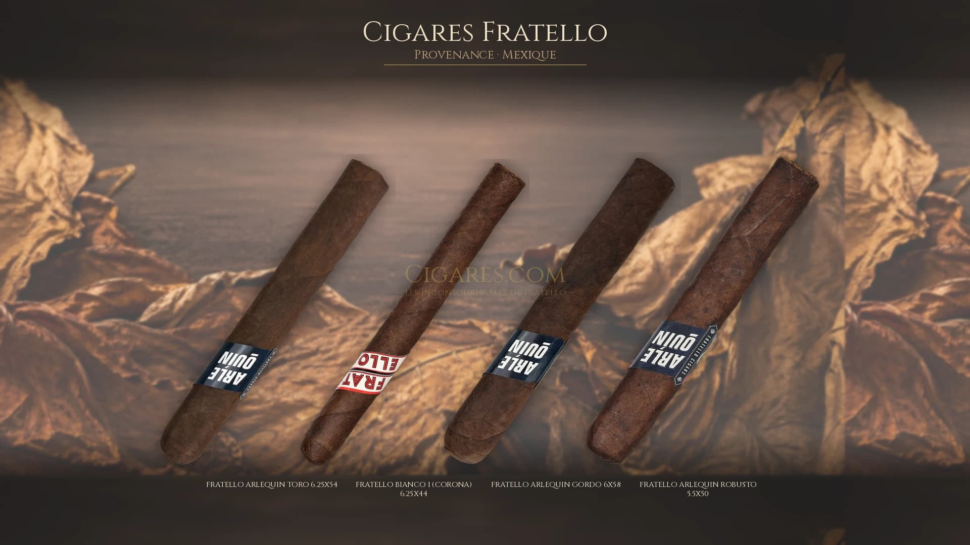 Top cigares Fratello Mexique — les plus populaires