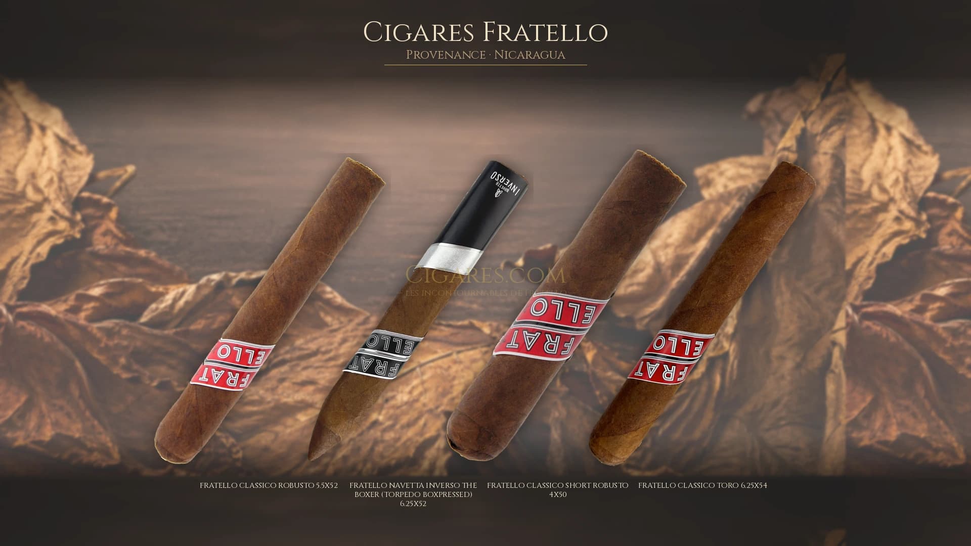 Top cigares Fratello Nicaragua — les plus populaires