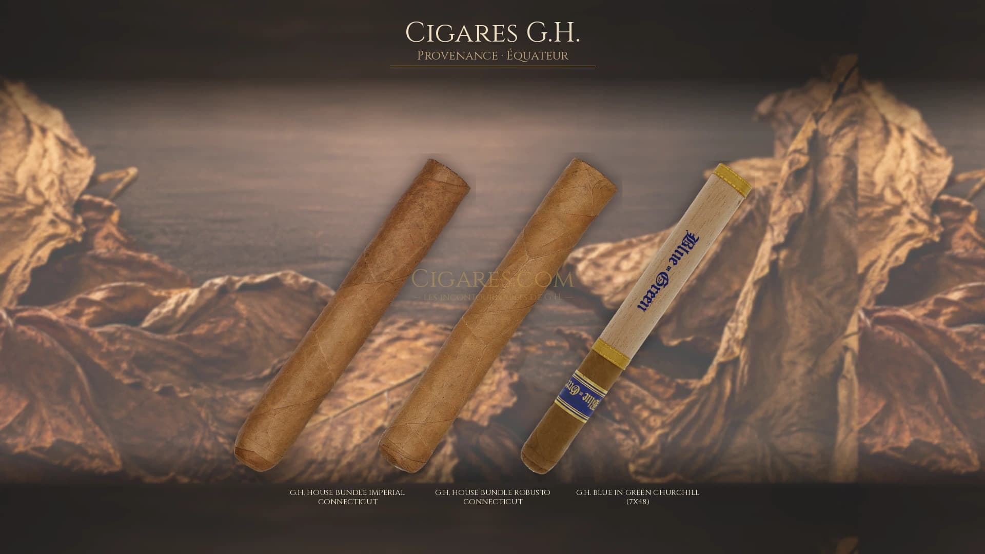 Top cigares G.H. Equateur — les plus populaires