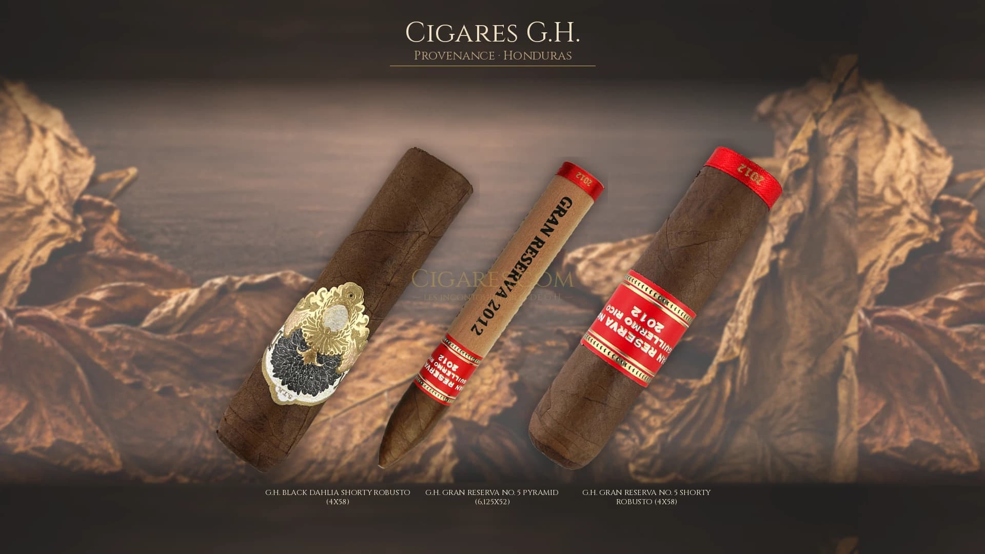 Top cigares G.H. Honduras — les plus populaires