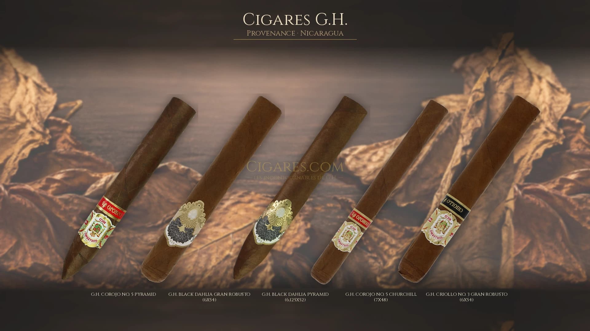 Top cigares G.H. Nicaragua — les plus populaires