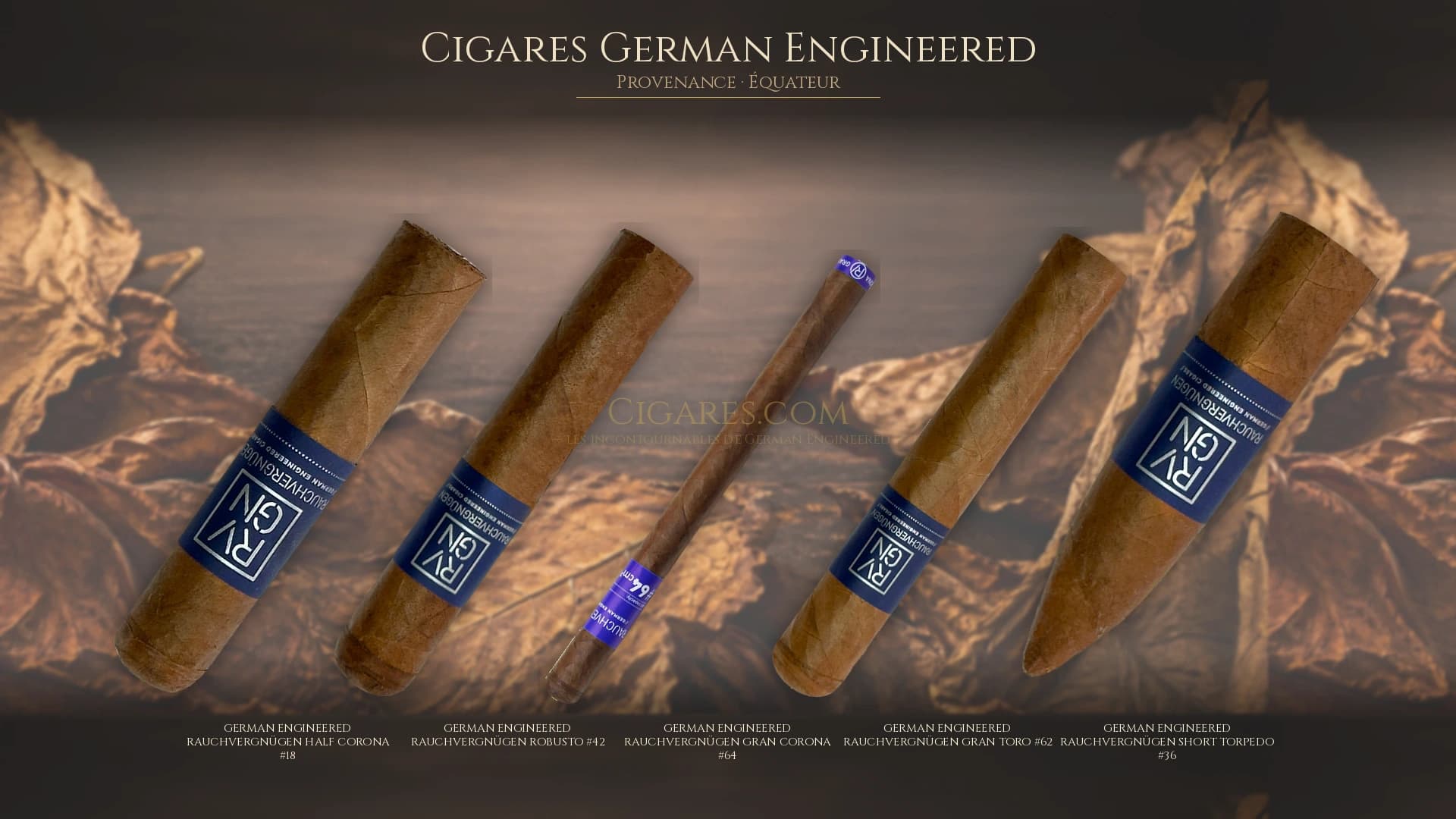 Top cigares German Engineered Equateur — les plus populaires