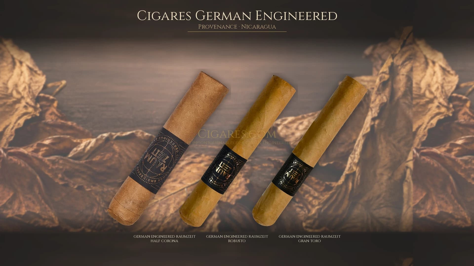 Top cigares German Engineered Nicaragua — les plus populaires
