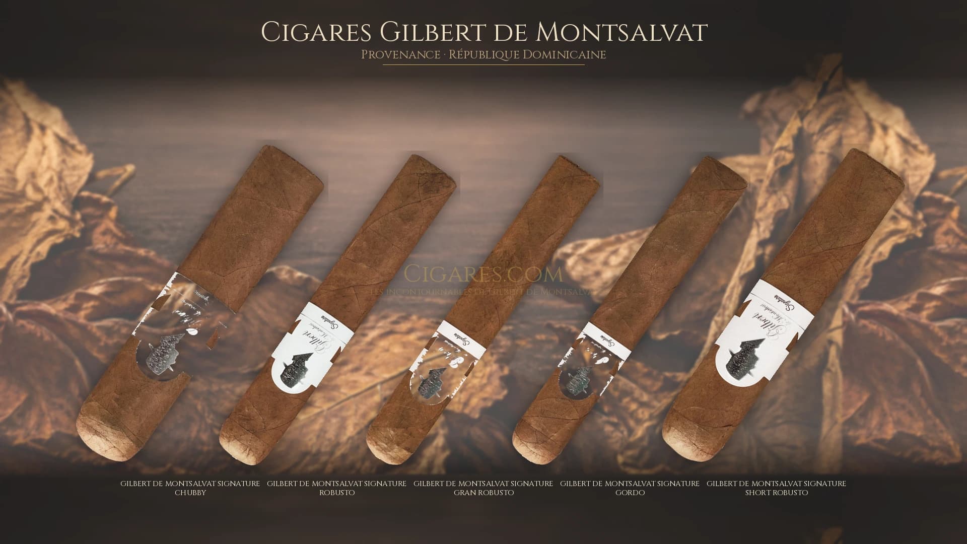 Top cigares Gilbert de Montsalvat Republique Dominicaine — les plus populaires