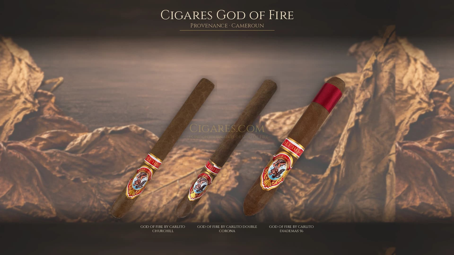 Top cigares God of Fire Cameroun — les plus populaires