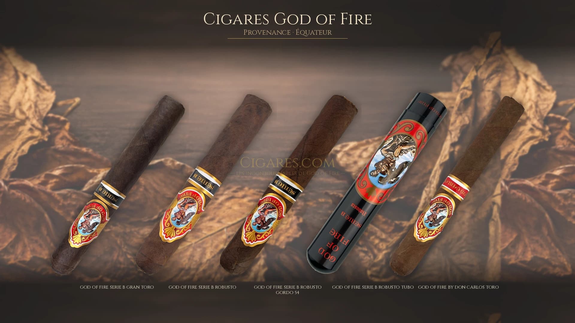 Top cigares God of Fire Equateur — les plus populaires