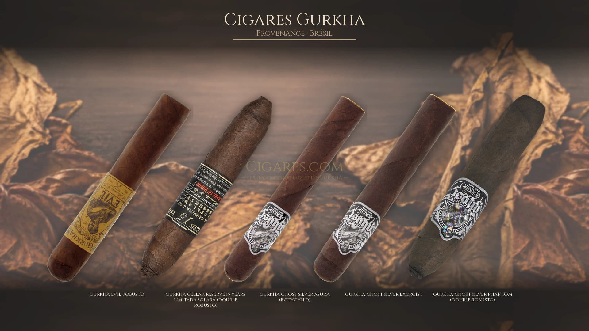 Top cigares Gurkha Bresil — les plus populaires