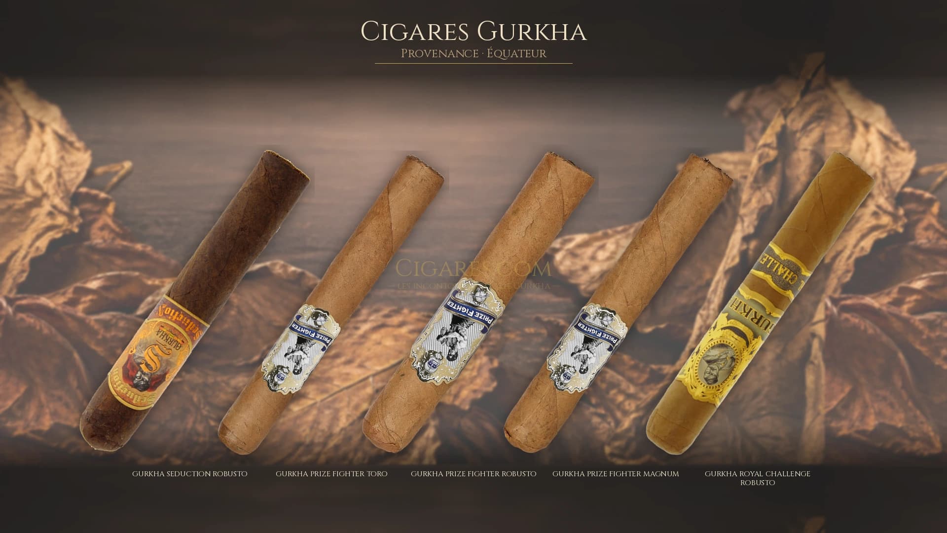Top cigares Gurkha Equateur — les plus populaires