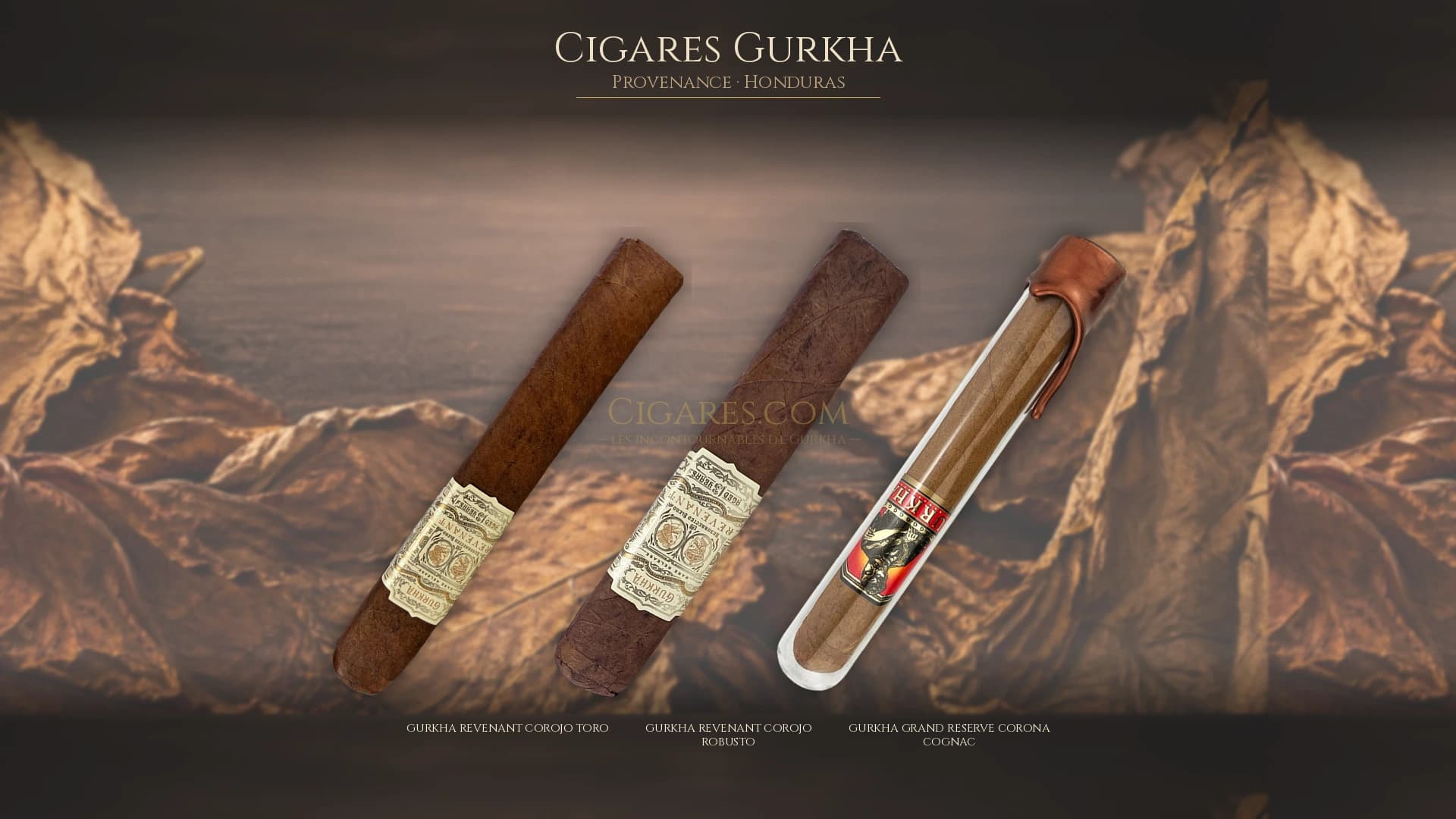 Top cigares Gurkha Honduras — les plus populaires