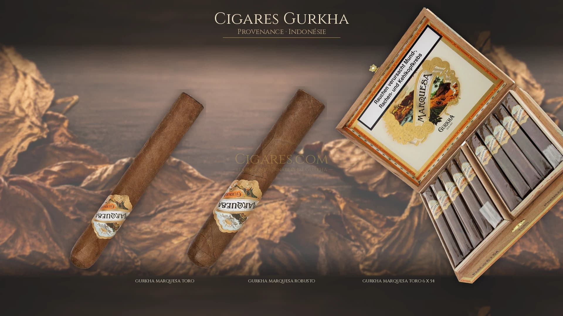 Top cigares Gurkha Indonesie — les plus populaires