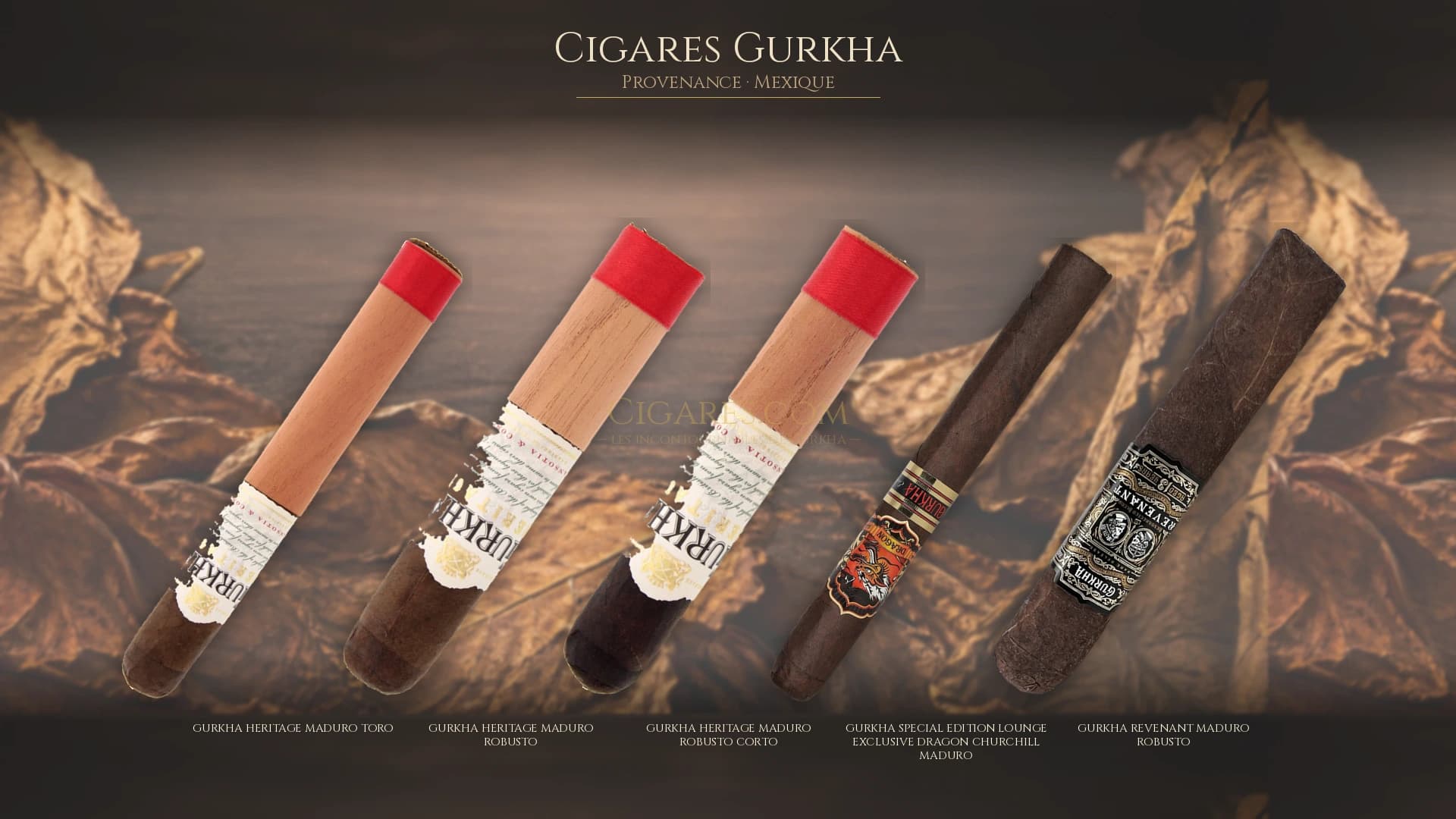 Top cigares Gurkha Mexique — les plus populaires
