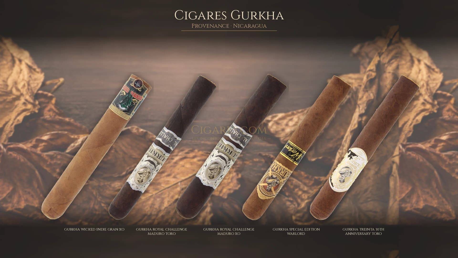 Top cigares Gurkha Nicaragua — les plus populaires