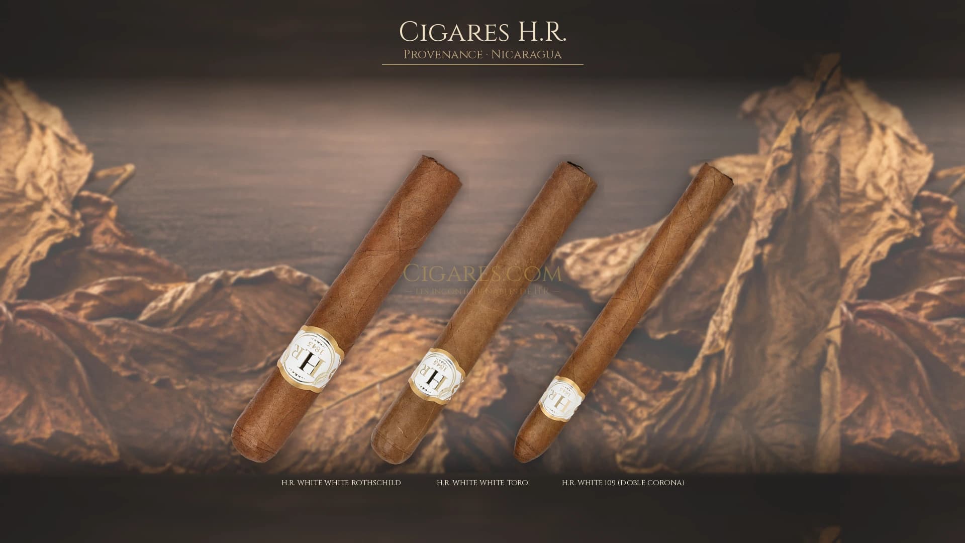 Top cigares H.R. Nicaragua — les plus populaires
