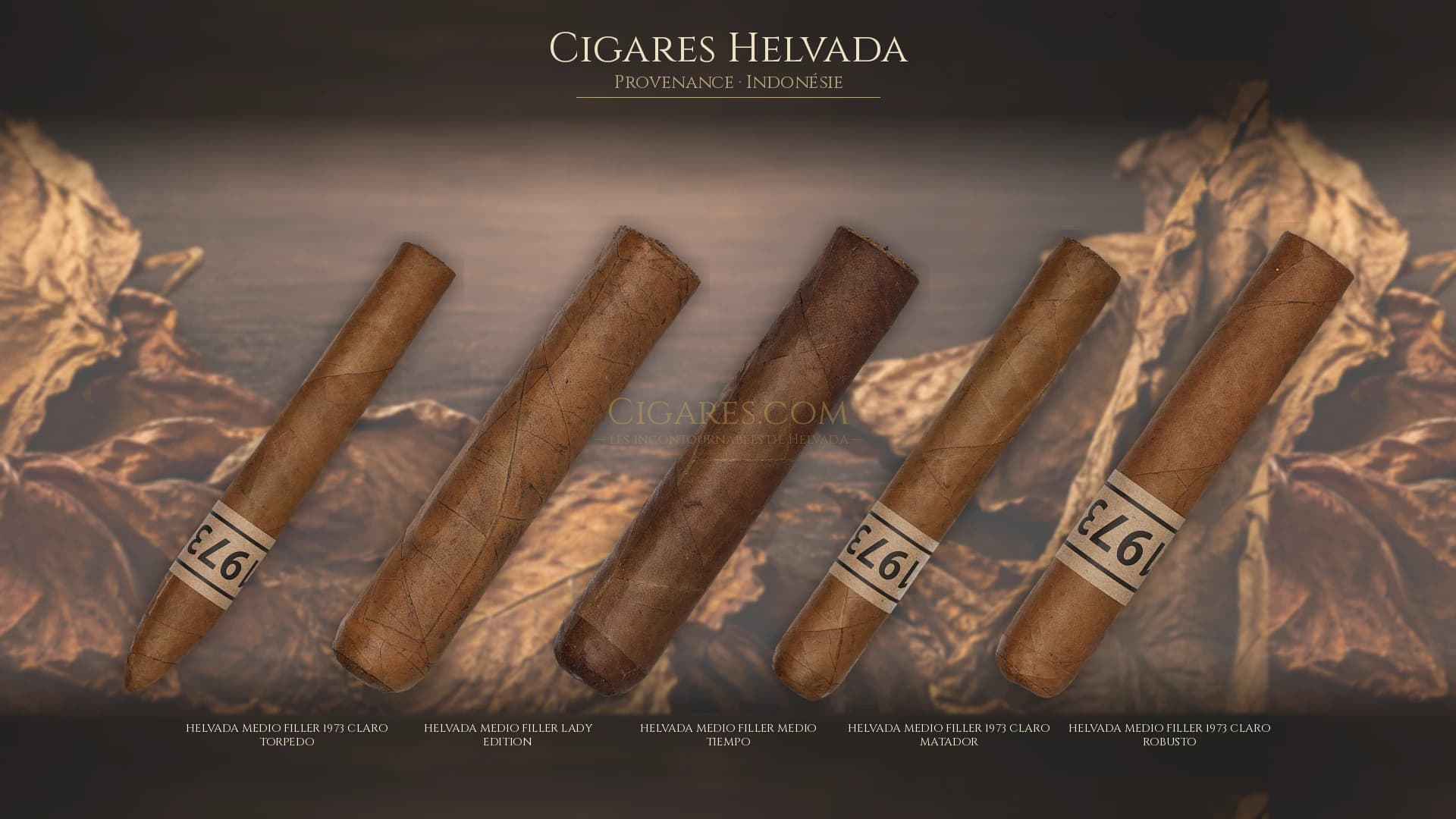 Top cigares Helvada Indonesie — les plus populaires