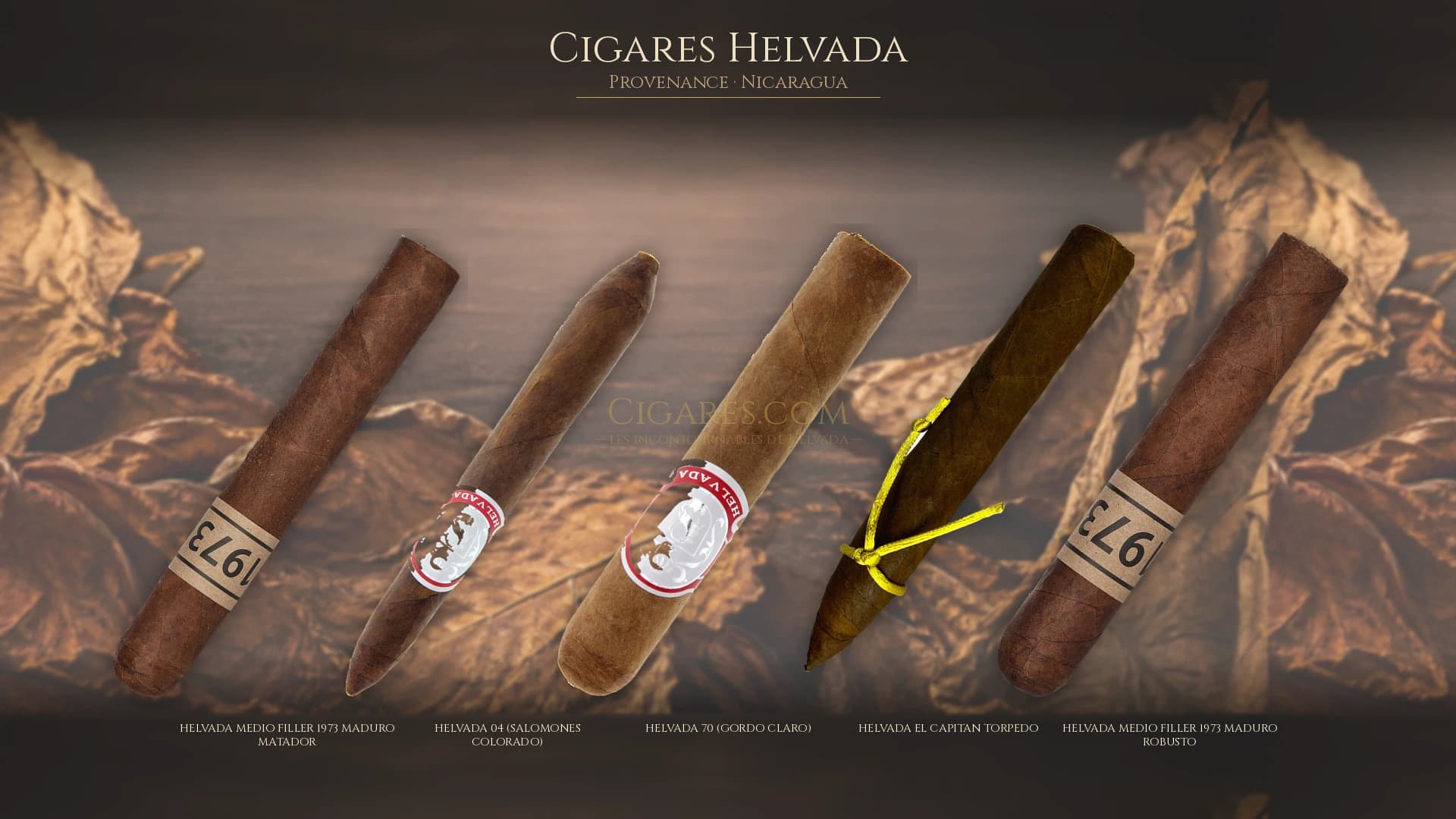 Top cigares Helvada Nicaragua — les plus populaires