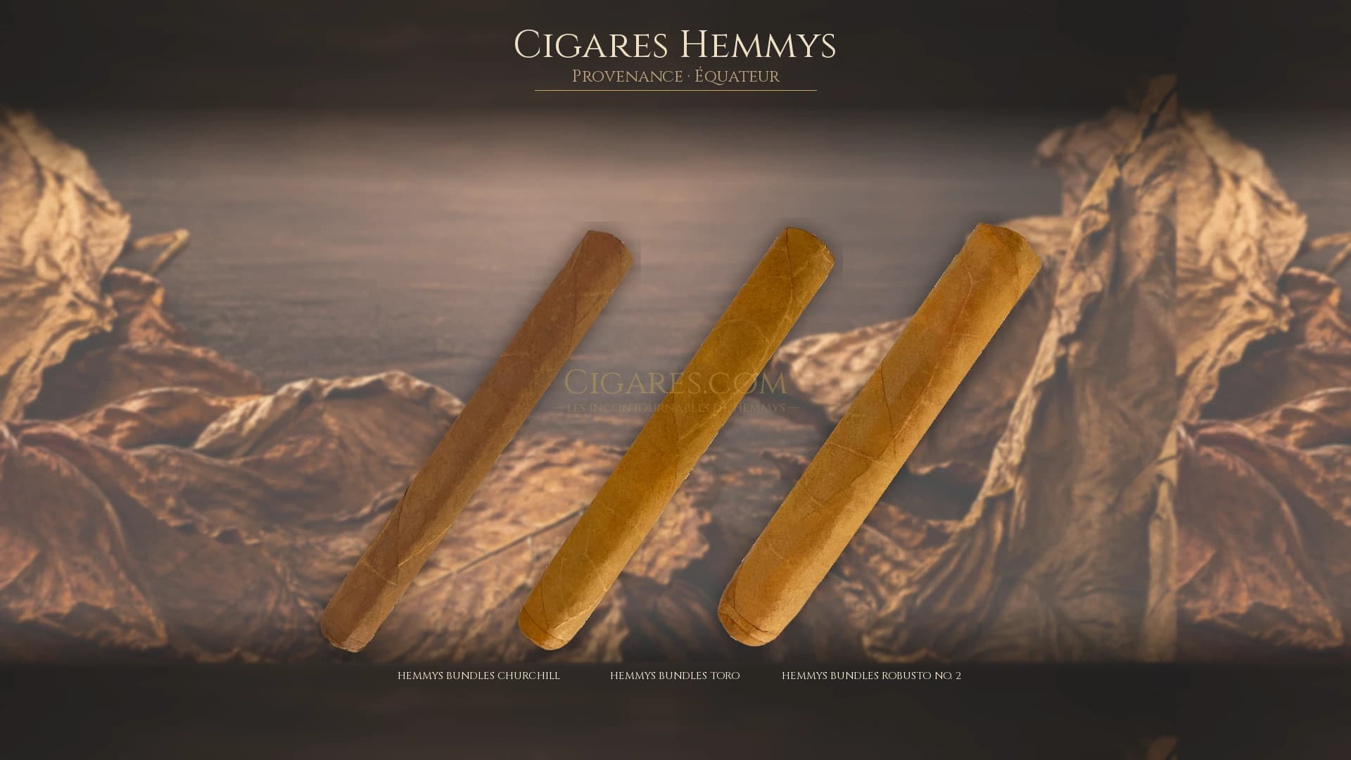 Top cigares Hemmys Equateur — les plus populaires