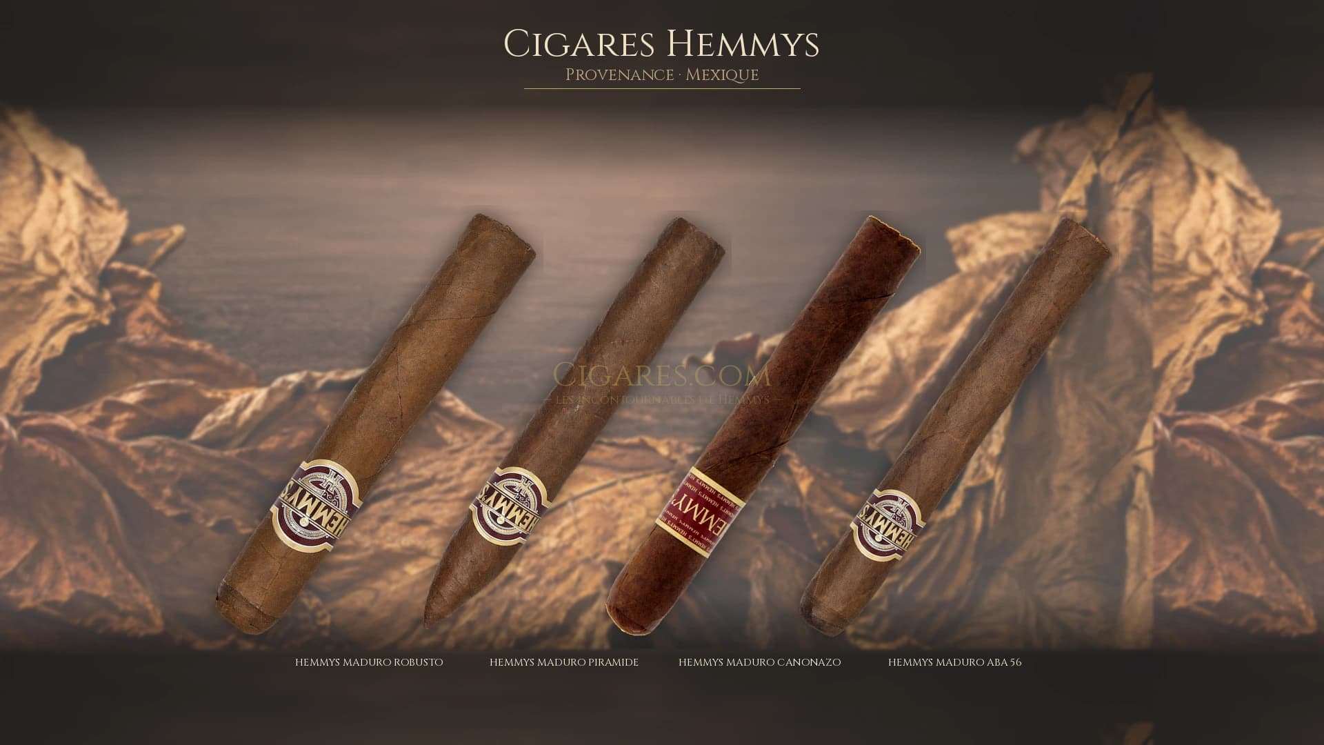 Top cigares Hemmys Mexique — les plus populaires