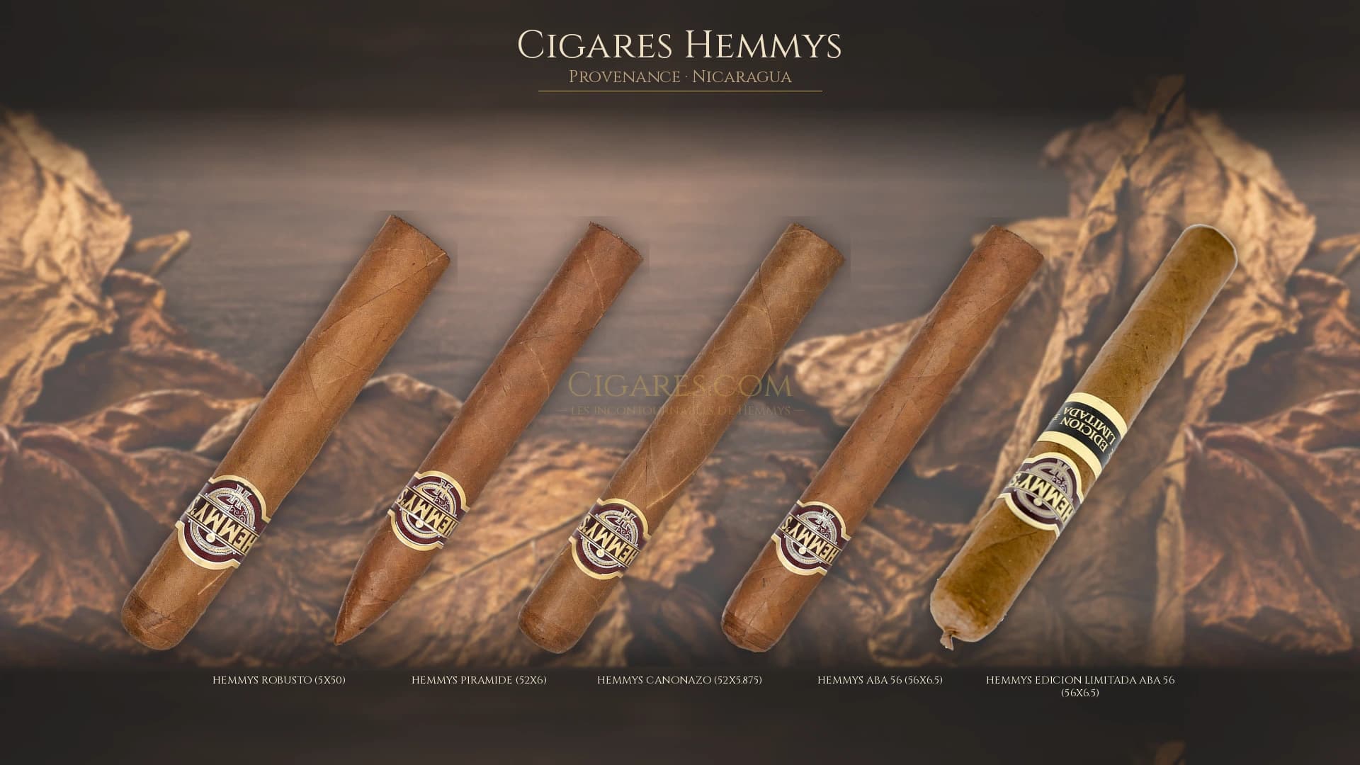 Top cigares Hemmys Nicaragua — les plus populaires