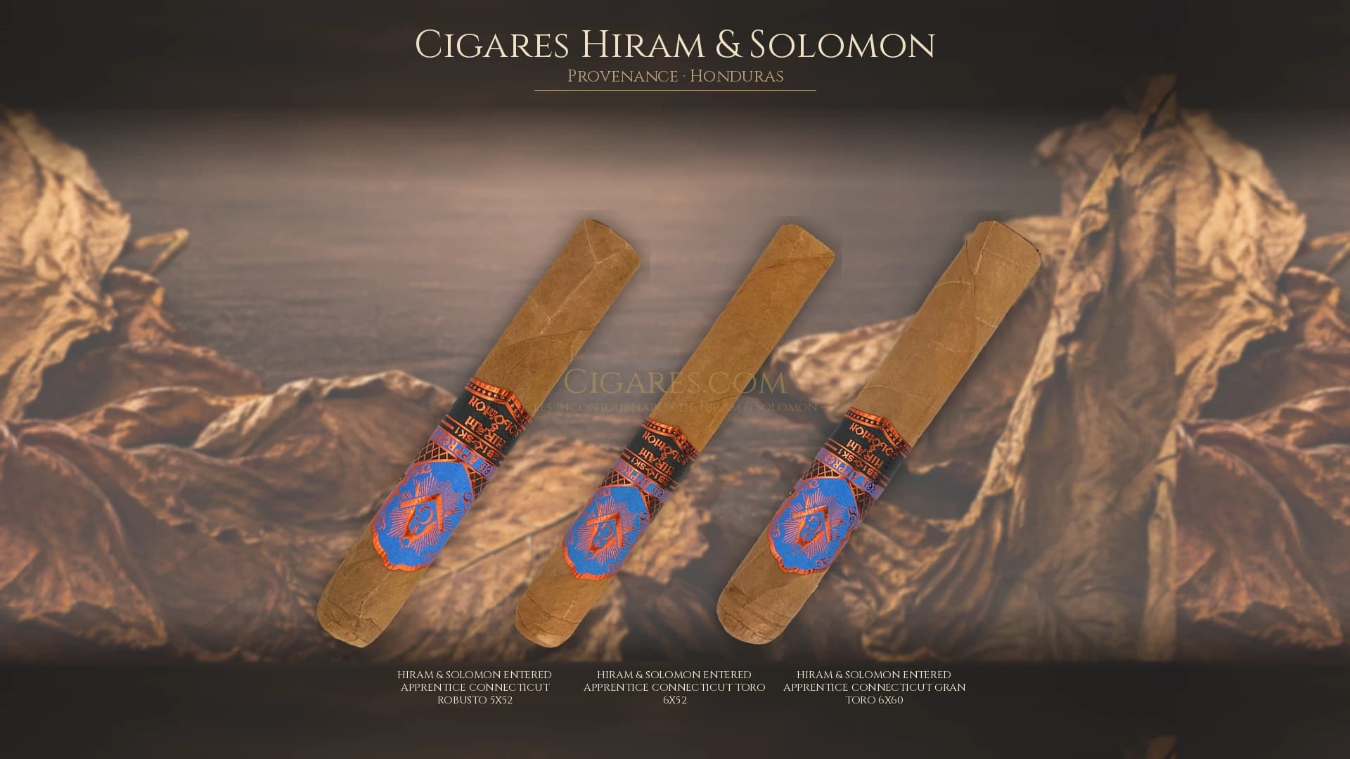 Top cigares Hiram & Solomon Honduras — les plus populaires