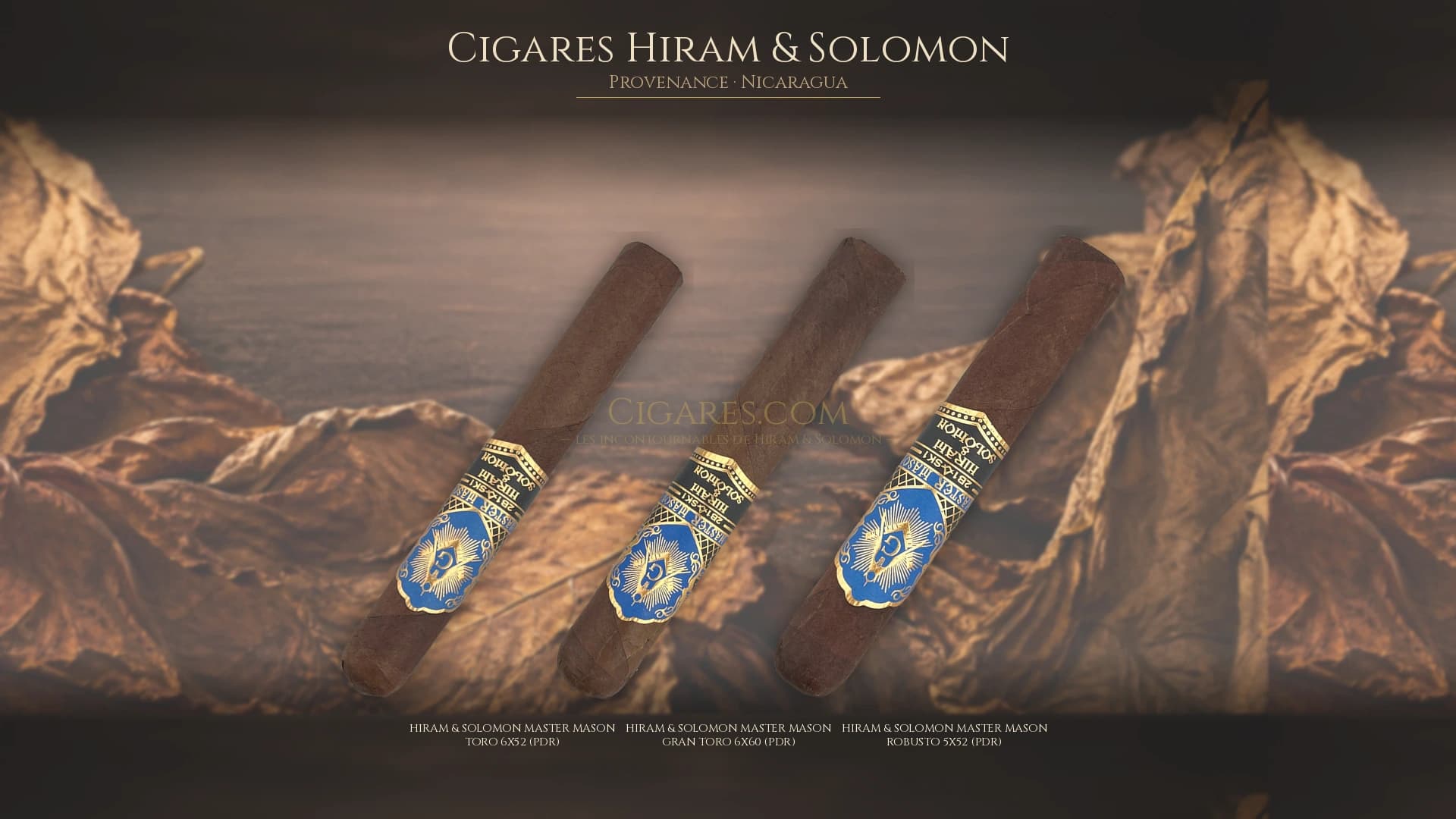 Top cigares Hiram & Solomon Nicaragua — les plus populaires