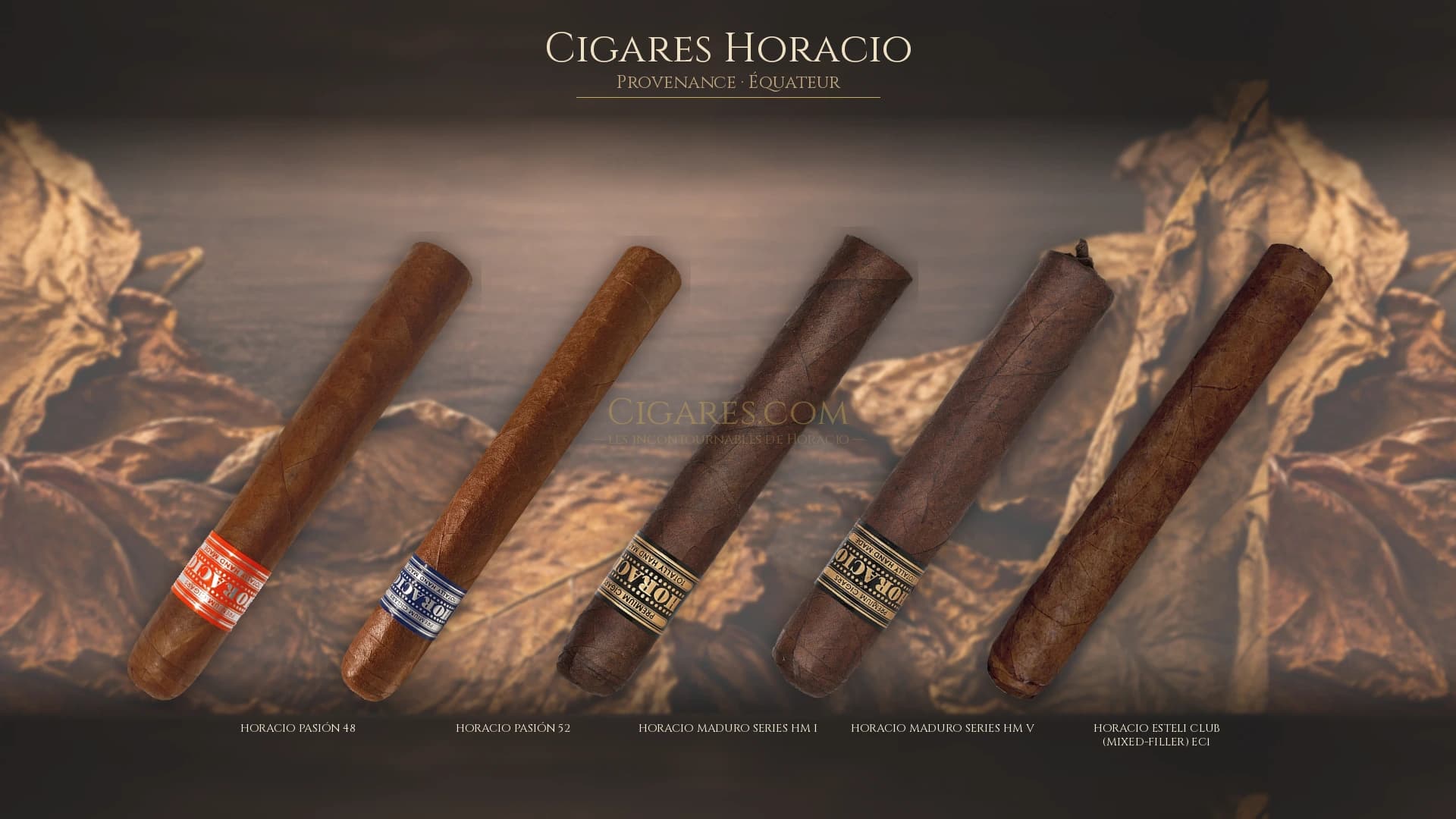 Top cigares Horacio Equateur — les plus populaires