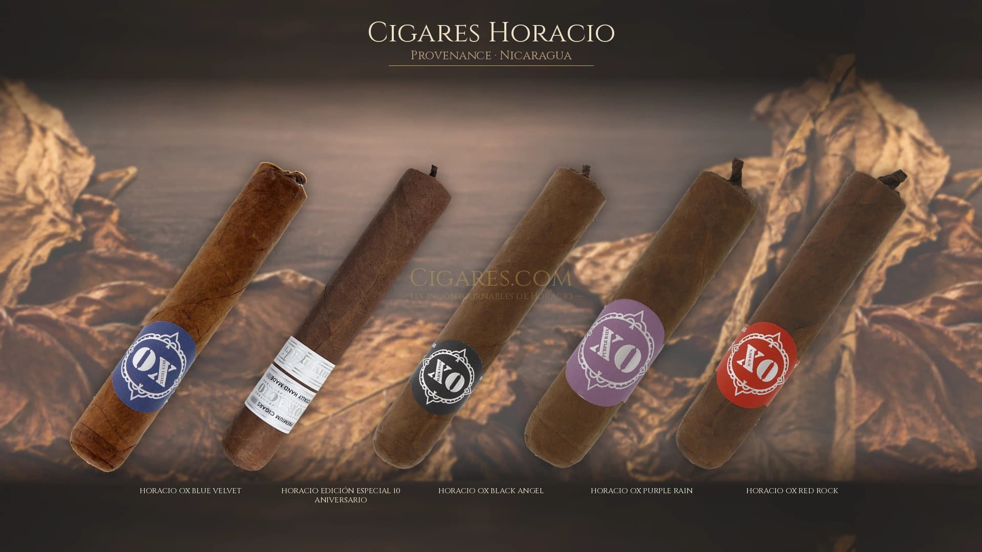 Top cigares Horacio Nicaragua — les plus populaires