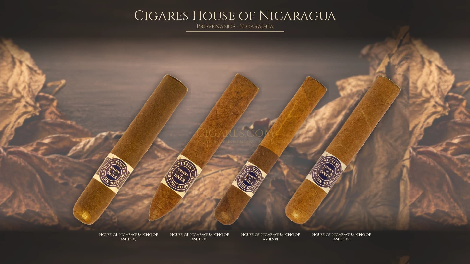 Top cigares House of Nicaragua Nicaragua — les plus populaires