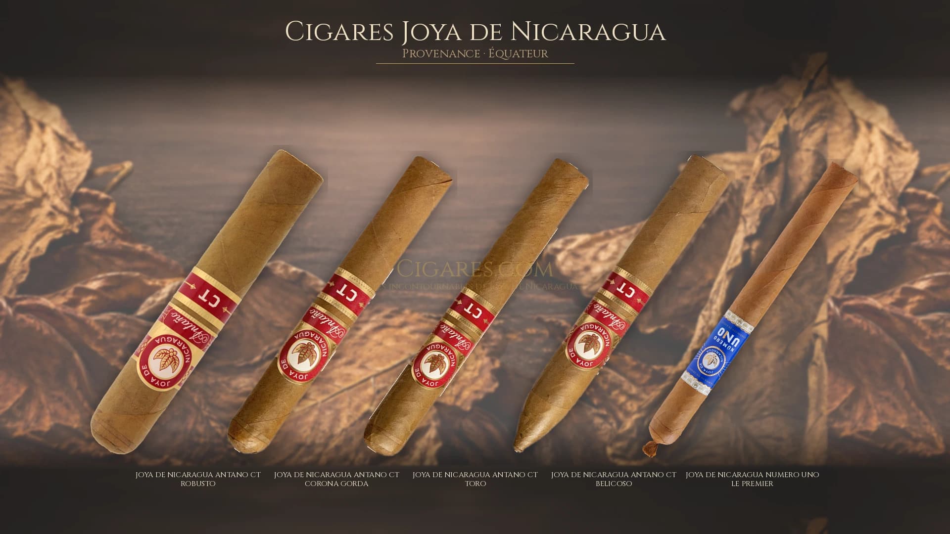 Top cigares Joya de Nicaragua Equateur — les plus populaires