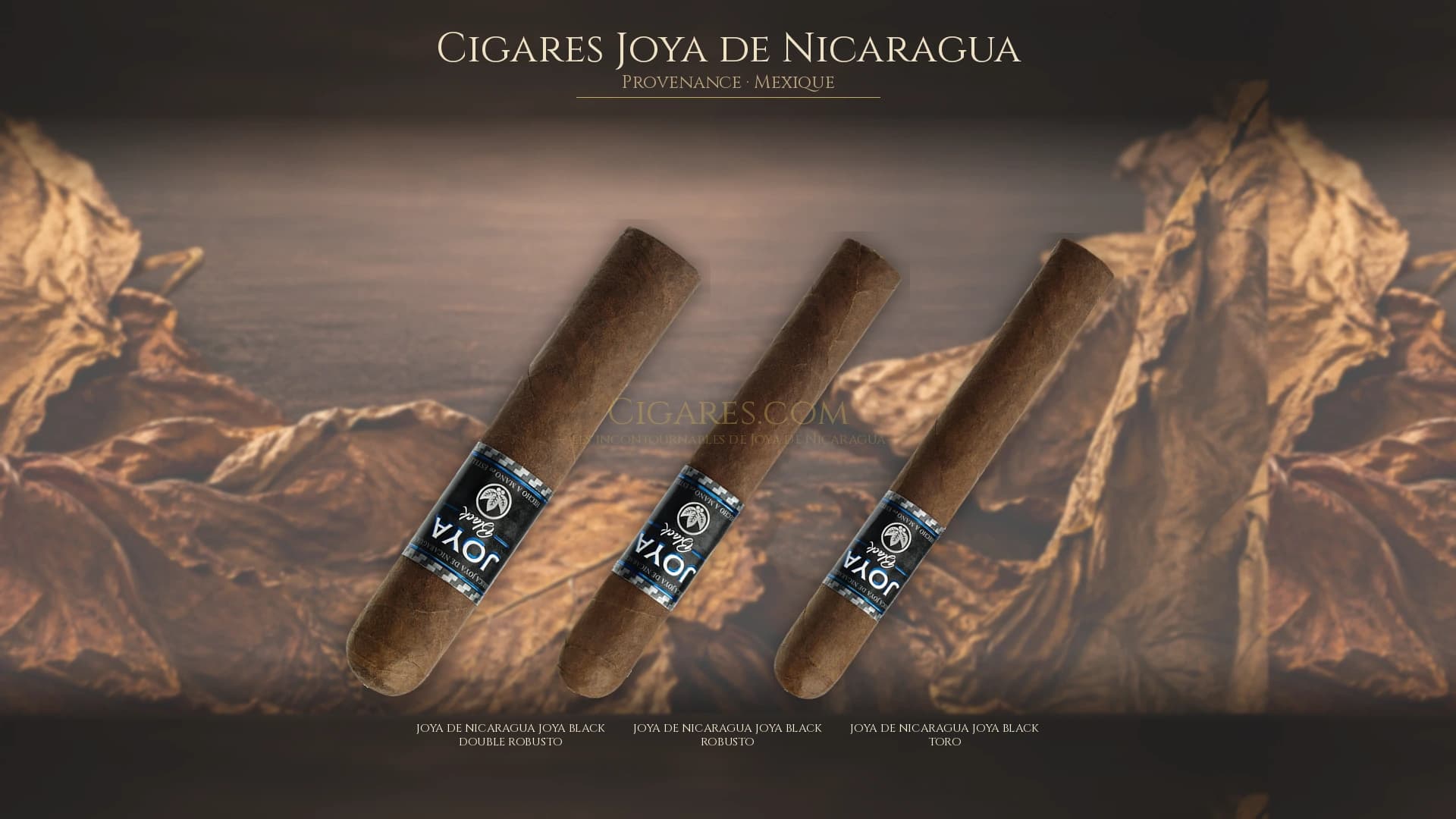 Top cigares Joya de Nicaragua Mexique — les plus populaires