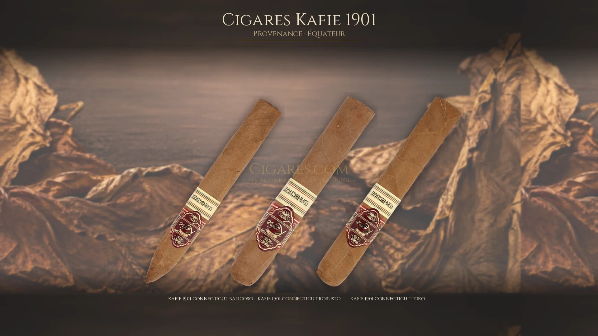 Top cigares Kafie 1901 Equateur — les plus populaires